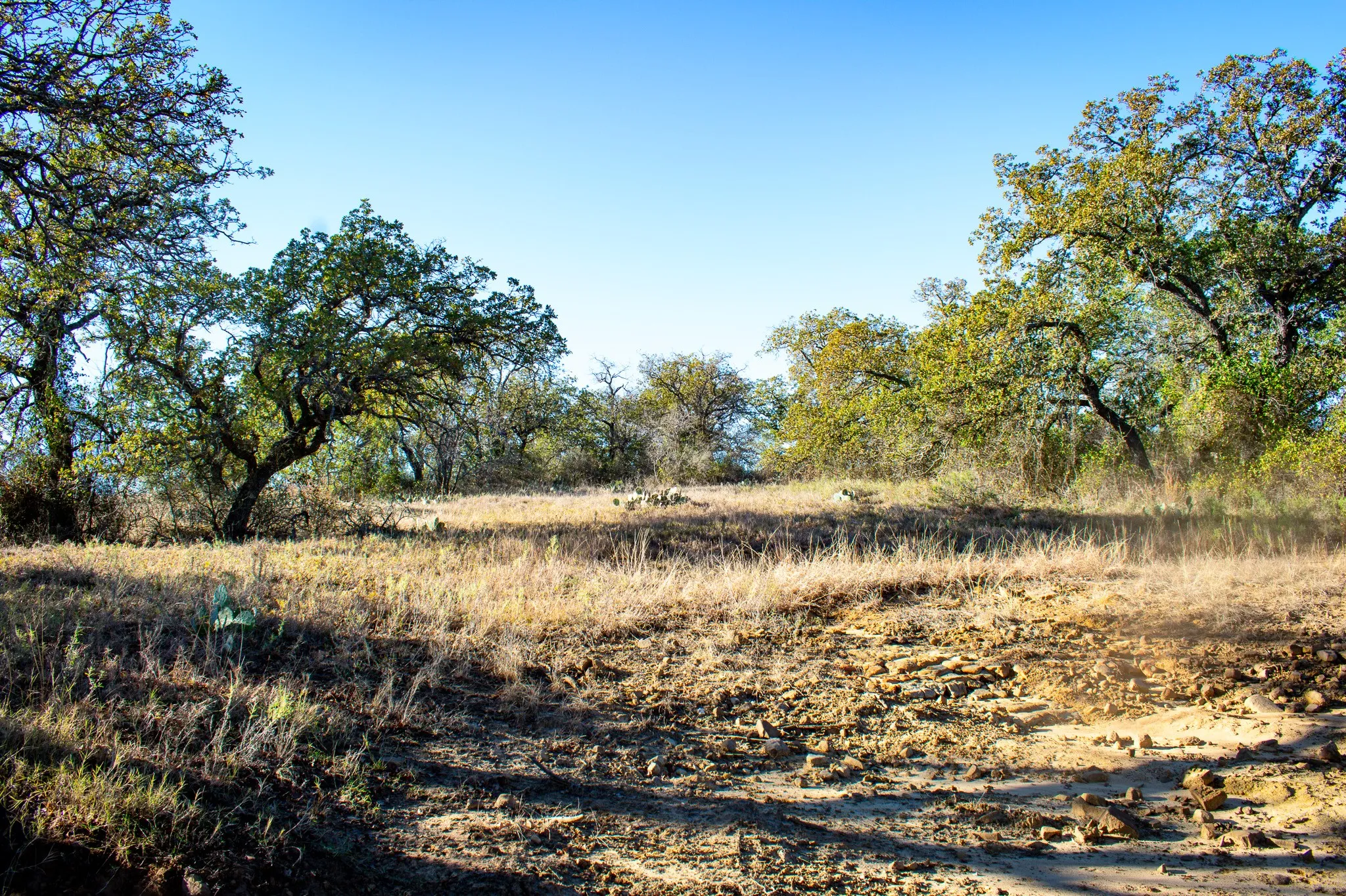 Unimproved Land For Sale in San Saba County , 3400 FM 45, San Saba, Texas 76877, 0, 0, Garage spaces, 0 Sqft, built in 0, Price $360,000, mls#21325079, Real Estate Agent in San Saba, Homes For Sale in San Saba county, Homes For Sale in San Saba, Realtor in San Saba Texas, Real Estate Brokerage Independent Realty Texas, Luminita Cordes Realtor