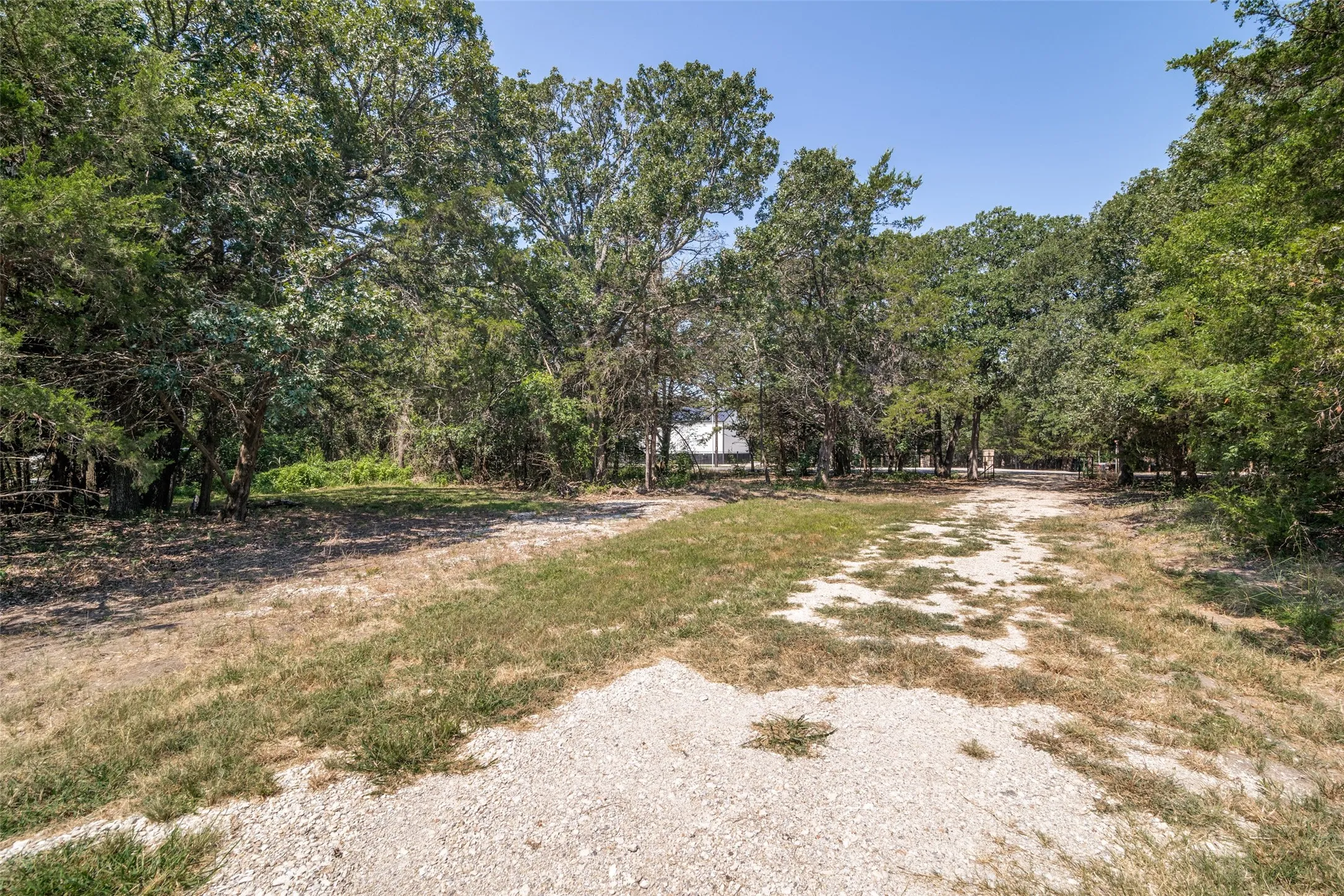 Unimproved Land For Sale in Hunt County , 5915 County Road 2516, Royse City, Texas 75189, 0, 0, Garage spaces, 0 Sqft, built in 0, Price $275,000, mls#21325046, Real Estate Agent in Royse City, Homes For Sale in Hunt county, Homes For Sale in Royse City, Realtor in Royse City Texas, Real Estate Brokerage Independent Realty Texas, Luminita Cordes Realtor