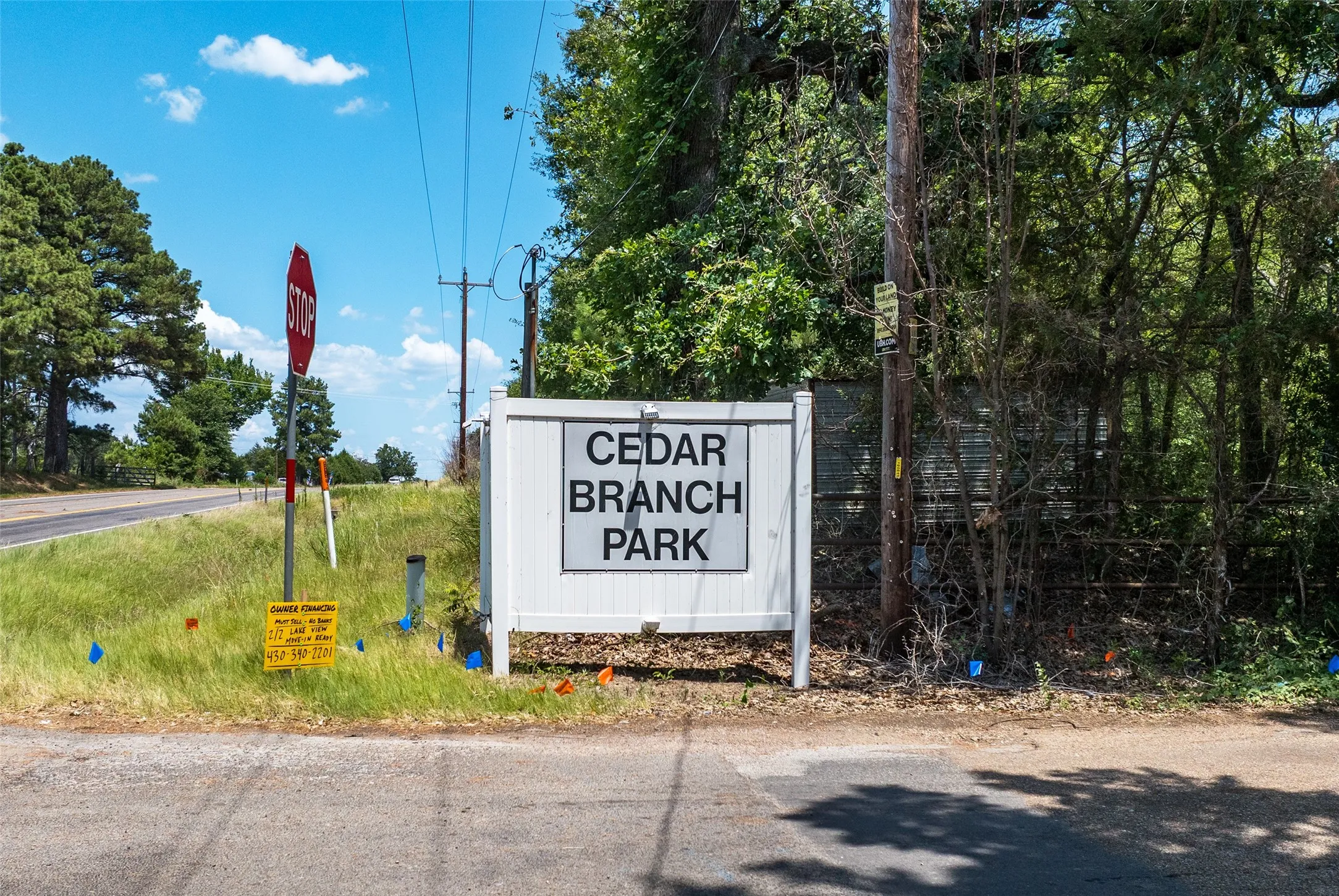 Unimproved Land For Sale in Henderson County , 136 Anderson Lane, Mabank, Texas 75156, 0, 0, Garage spaces, 0 Sqft, built in 0, mls#21321908, Real Estate Agent in Mabank, Homes For Sale in Henderson county, Homes For Sale in Mabank, Realtor in Mabank Texas, Real Estate Brokerage Independent Realty Texas, Luminita Cordes Realtor
