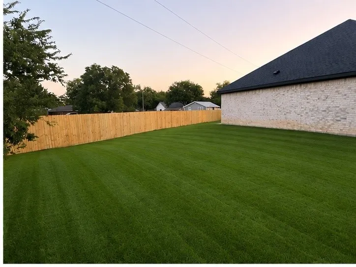 AI was used to green the grass.