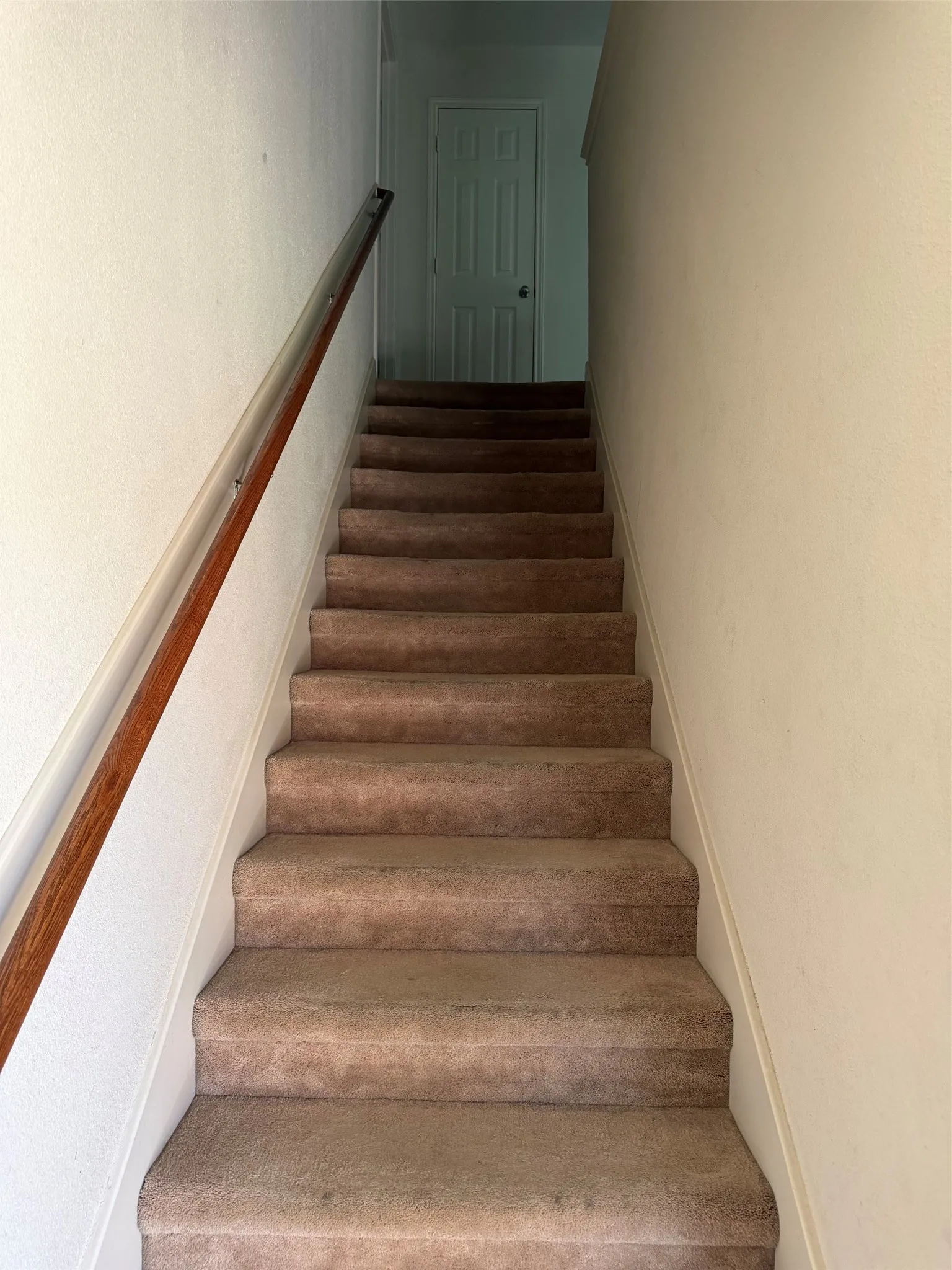 Carpeted staircase with a wood handrail, white trim, and light-toned wall finishes