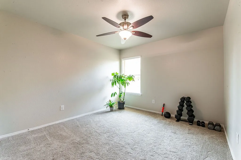 Carpeted room with a ceiling fan light fixture and a single window offering natural light