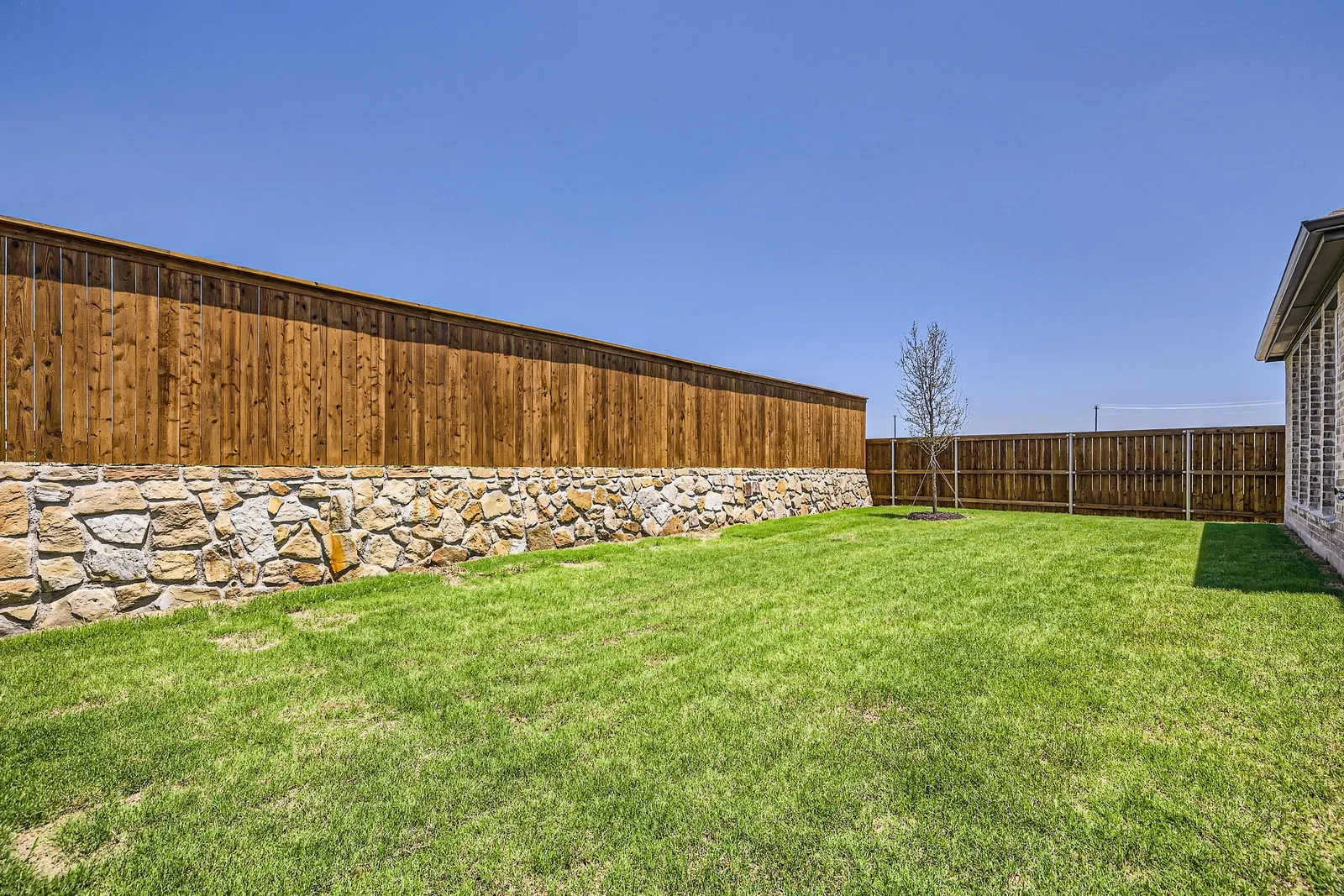 Expansive grassy yard with a stone and wood privacy fence, featuring a young tree and a partial view of the property's exterior