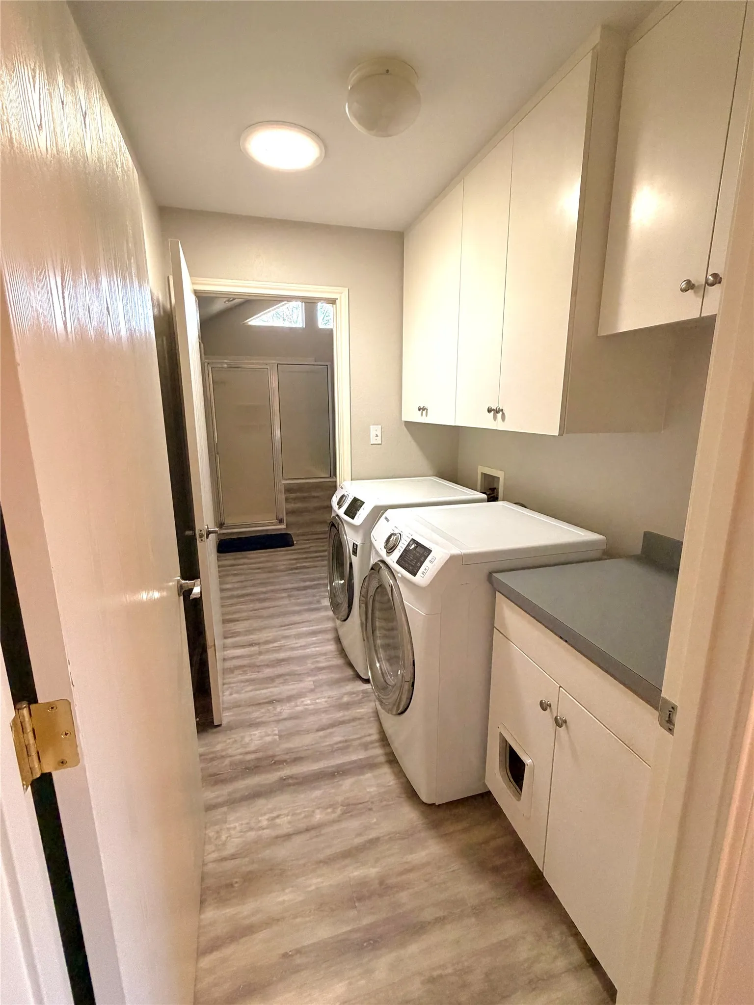 Dedicated laundry area featuring wood-finish flooring, overhead cabinetry, and a countertop with additional storage below