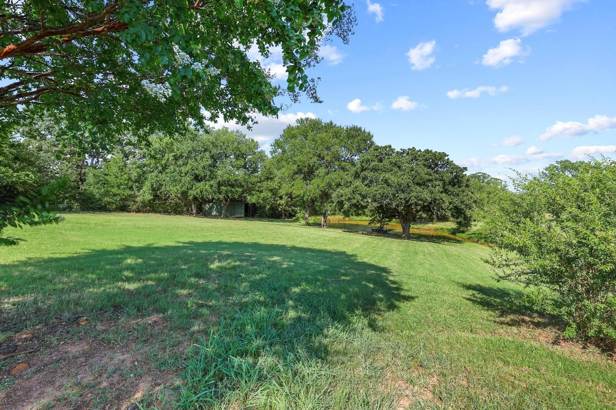 Expansive green lawn with mature trees and natural landscaping