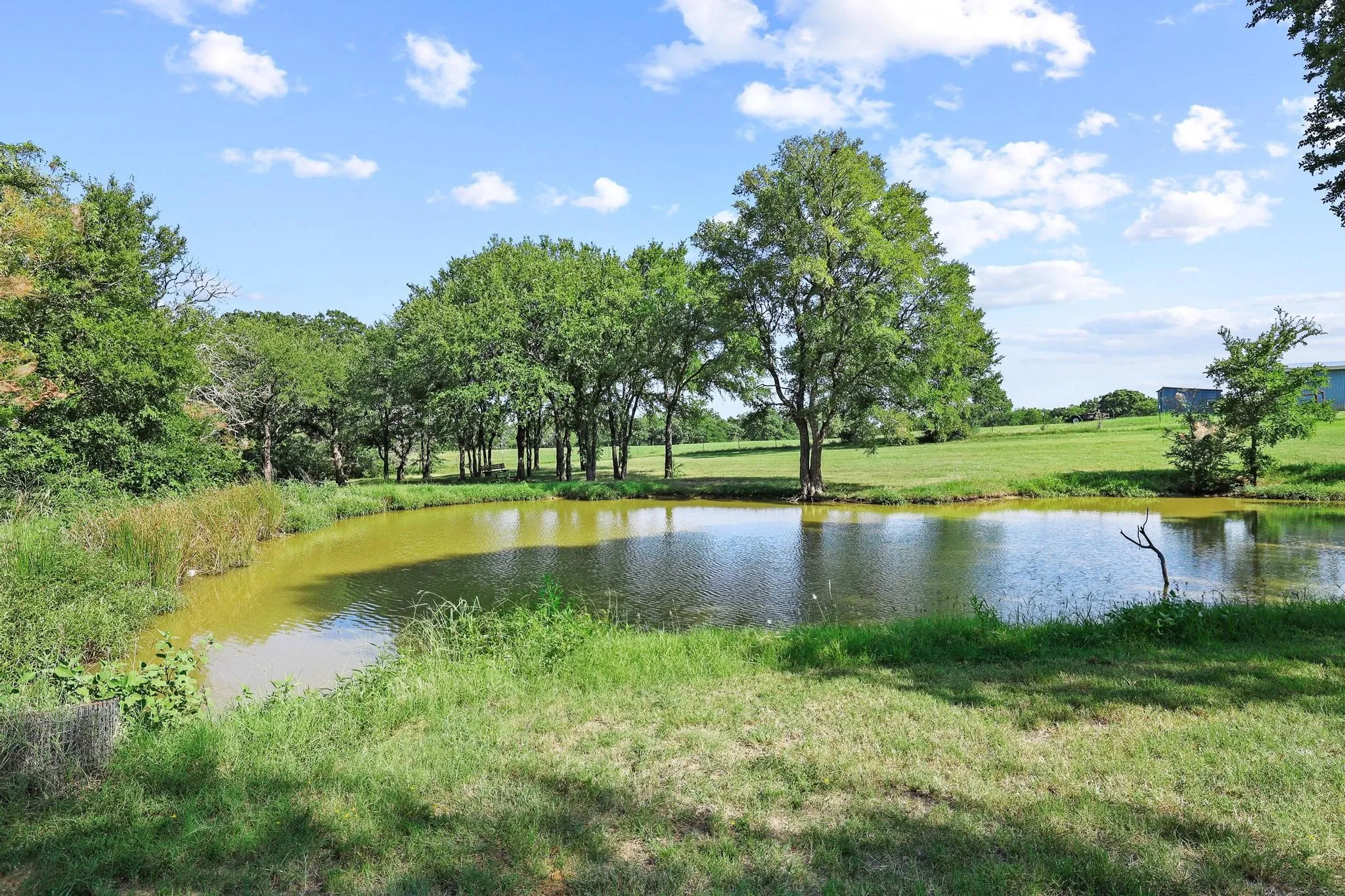 Expansive pond feature surrounded by lush green grass and mature trees