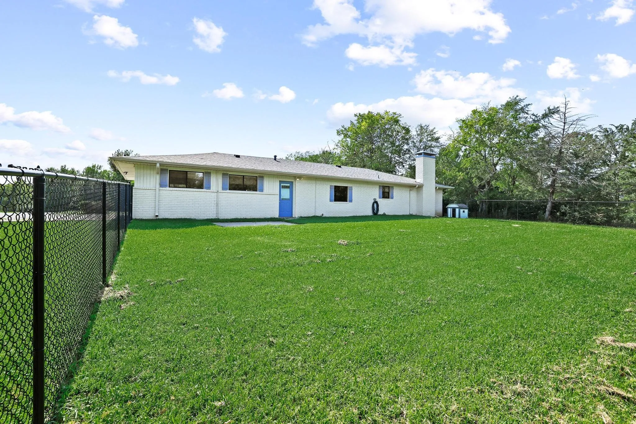 Expansive backyard featuring a lush lawn, black chain-link fencing, a rear patio, and a light-colored exterior with a blue door