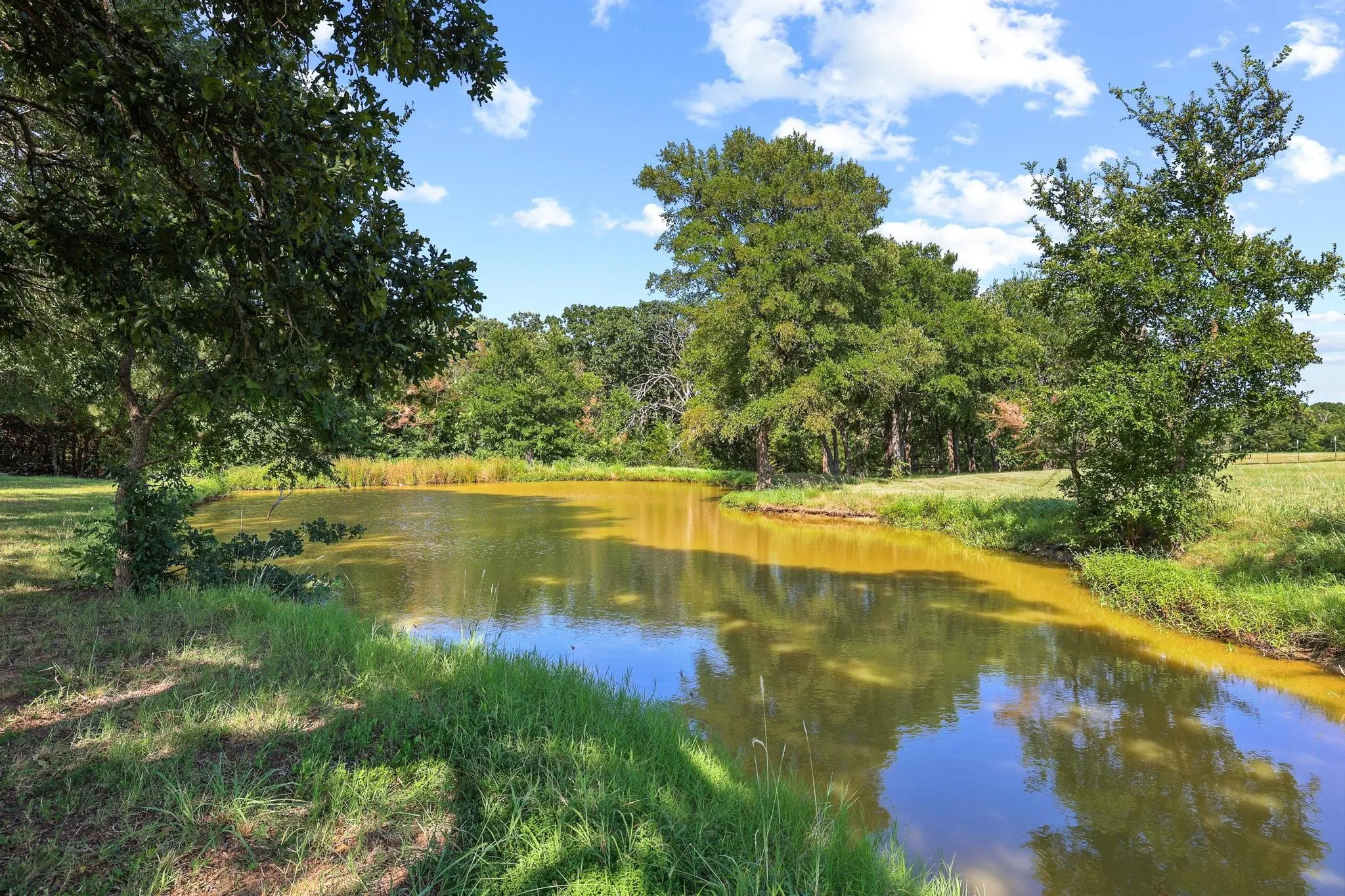 Expansive pond surrounded by mature trees and grassy banks under a blue sky with scattered clouds