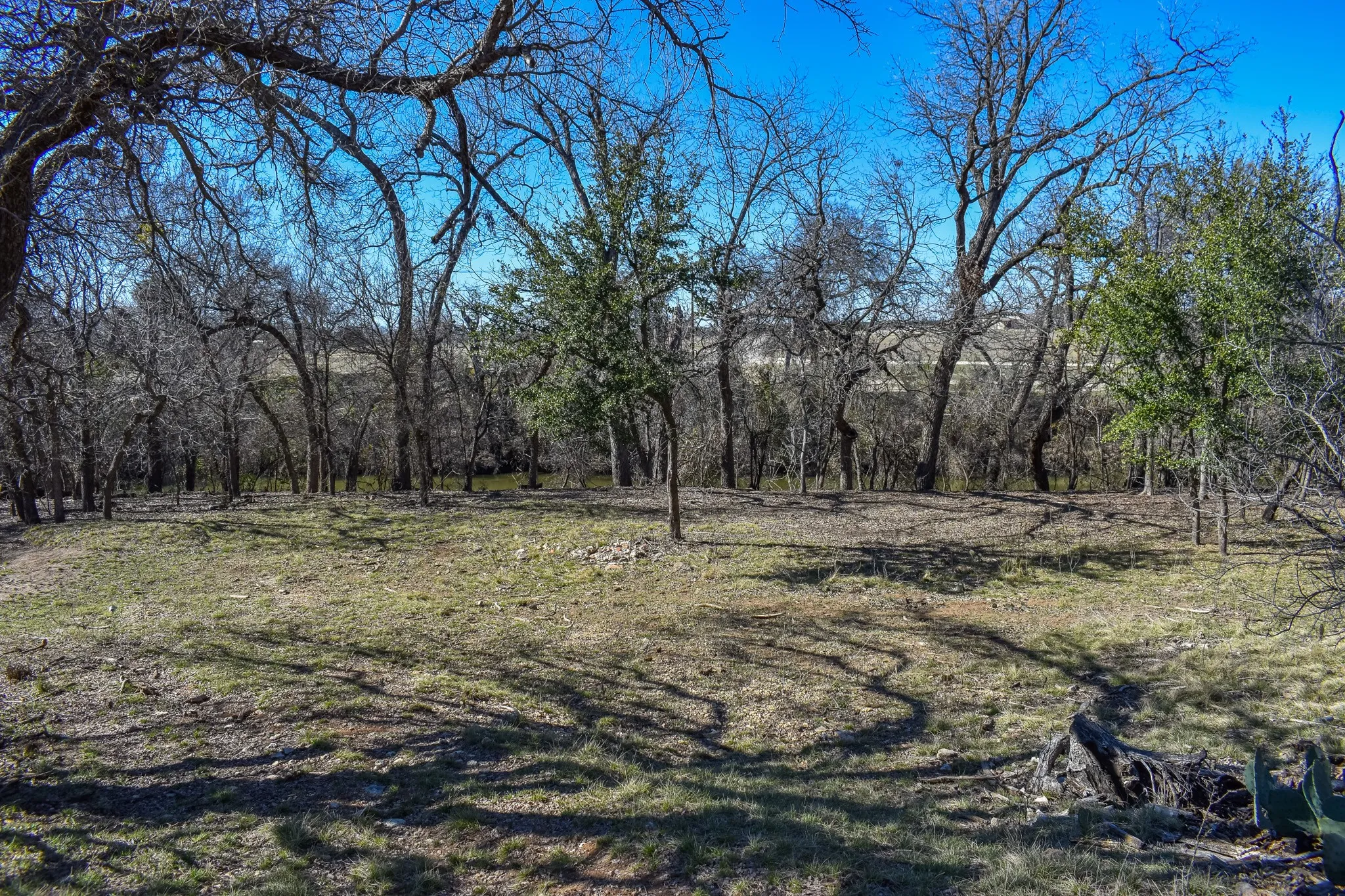 Single Family Residence For Sale in Mc Culloch County , 1124 W 6th, Brady, Texas 76825, 4 Bedroom, 4 Bathroom, 4 Garage spaces, 3,404 Sqft, built in 1960, mls#21325232, Real Estate Agent in Brady, Homes For Sale in Mc Culloch county, Homes For Sale in Brady, Realtor in Brady Texas, Real Estate Brokerage Independent Realty Texas, Luminita Cordes Realtor