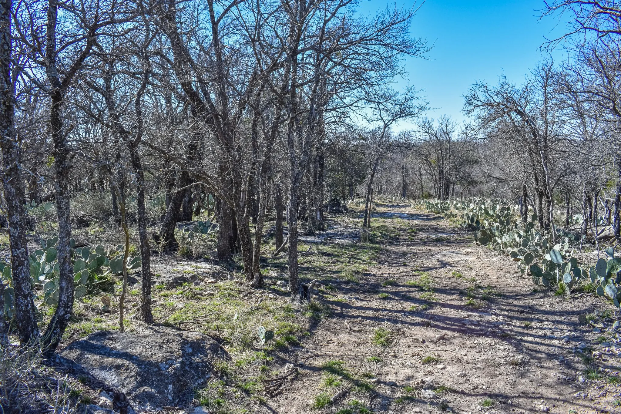Single Family Residence For Sale in Mc Culloch County , 1124 W 6th, Brady, Texas 76825, 4 Bedroom, 4 Bathroom, 4 Garage spaces, 3,404 Sqft, built in 1960, mls#21325232, Real Estate Agent in Brady, Homes For Sale in Mc Culloch county, Homes For Sale in Brady, Realtor in Brady Texas, Real Estate Brokerage Independent Realty Texas, Luminita Cordes Realtor