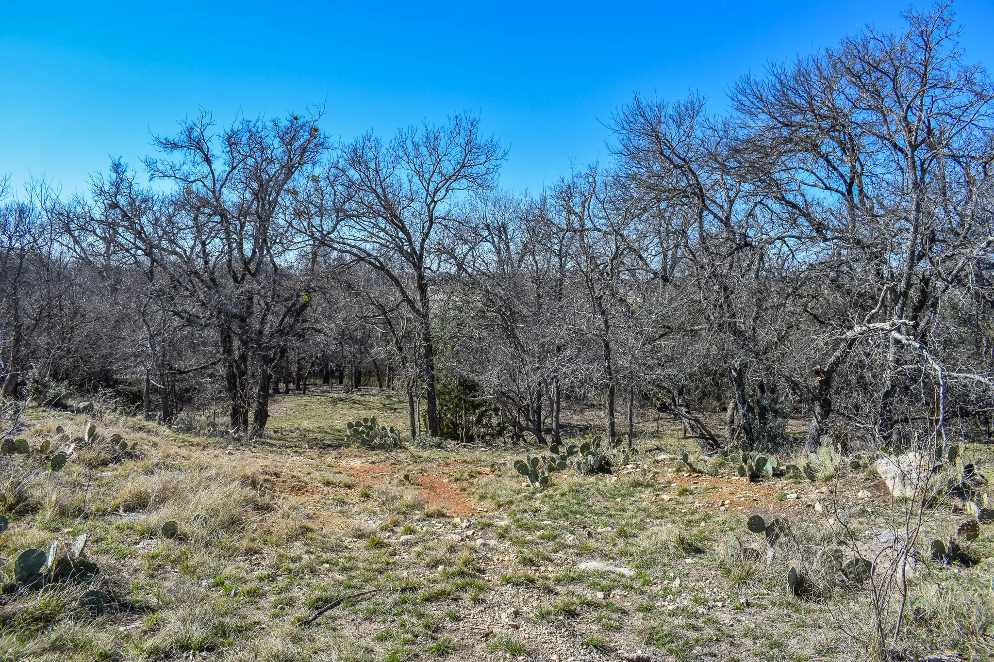 Single Family Residence For Sale in Mc Culloch County , 1124 W 6th, Brady, Texas 76825, 4 Bedroom, 4 Bathroom, 4 Garage spaces, 3,404 Sqft, built in 1960, mls#21325232, Real Estate Agent in Brady, Homes For Sale in Mc Culloch county, Homes For Sale in Brady, Realtor in Brady Texas, Real Estate Brokerage Independent Realty Texas, Luminita Cordes Realtor