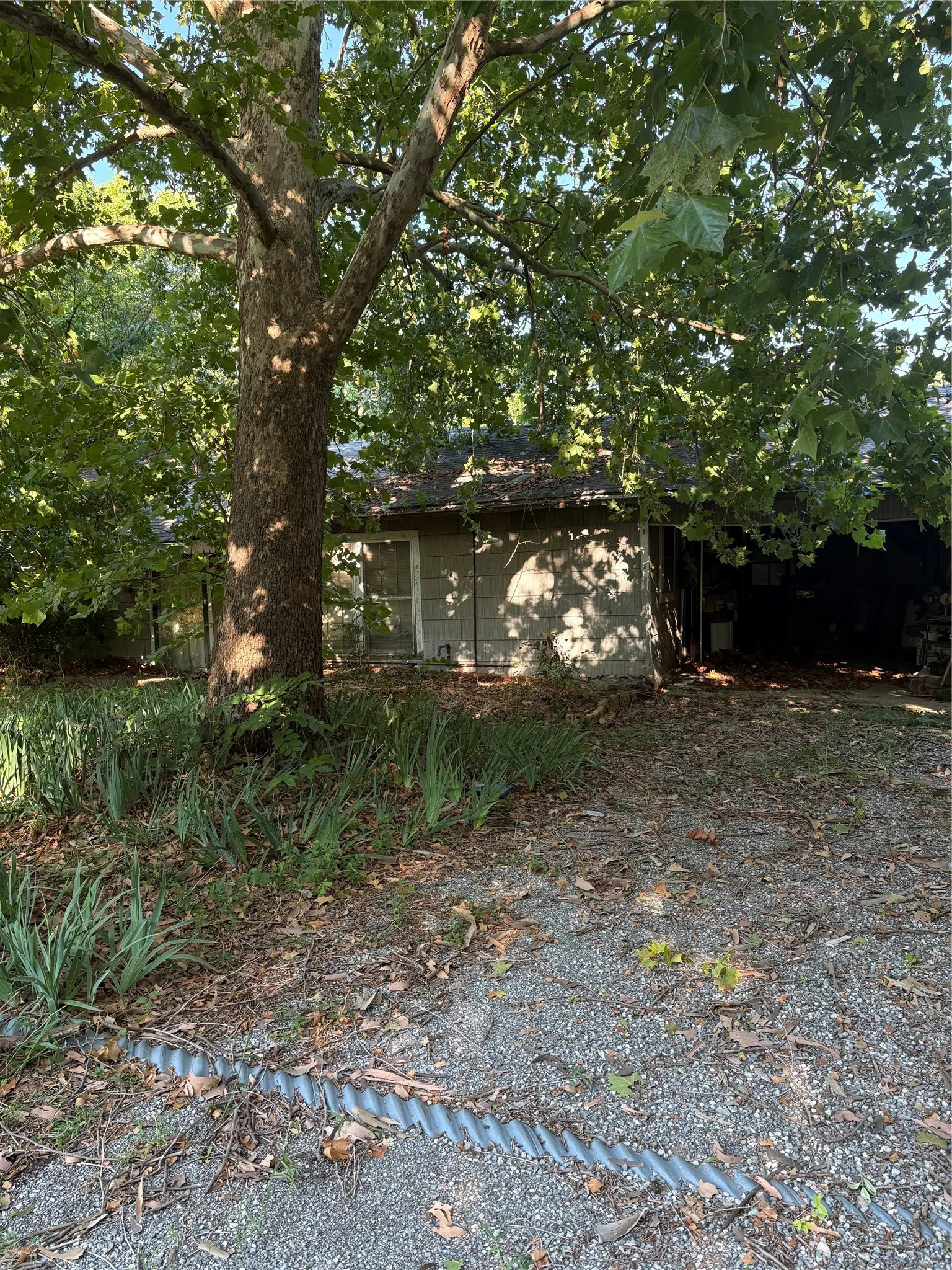 Single Family Residence For Sale in Grayson County , 610 S Magnolia Avenue, Pottsboro, Texas 75076, 3 Bedroom, 2 Bathroom, Garage spaces, 1,160 Sqft, built in 1964, Price $65,000, mls#21318604, Real Estate Agent in Pottsboro, Homes For Sale in Grayson county, Homes For Sale in Pottsboro, Realtor in Pottsboro Texas, Real Estate Brokerage Independent Realty Texas, Luminita Cordes Realtor
