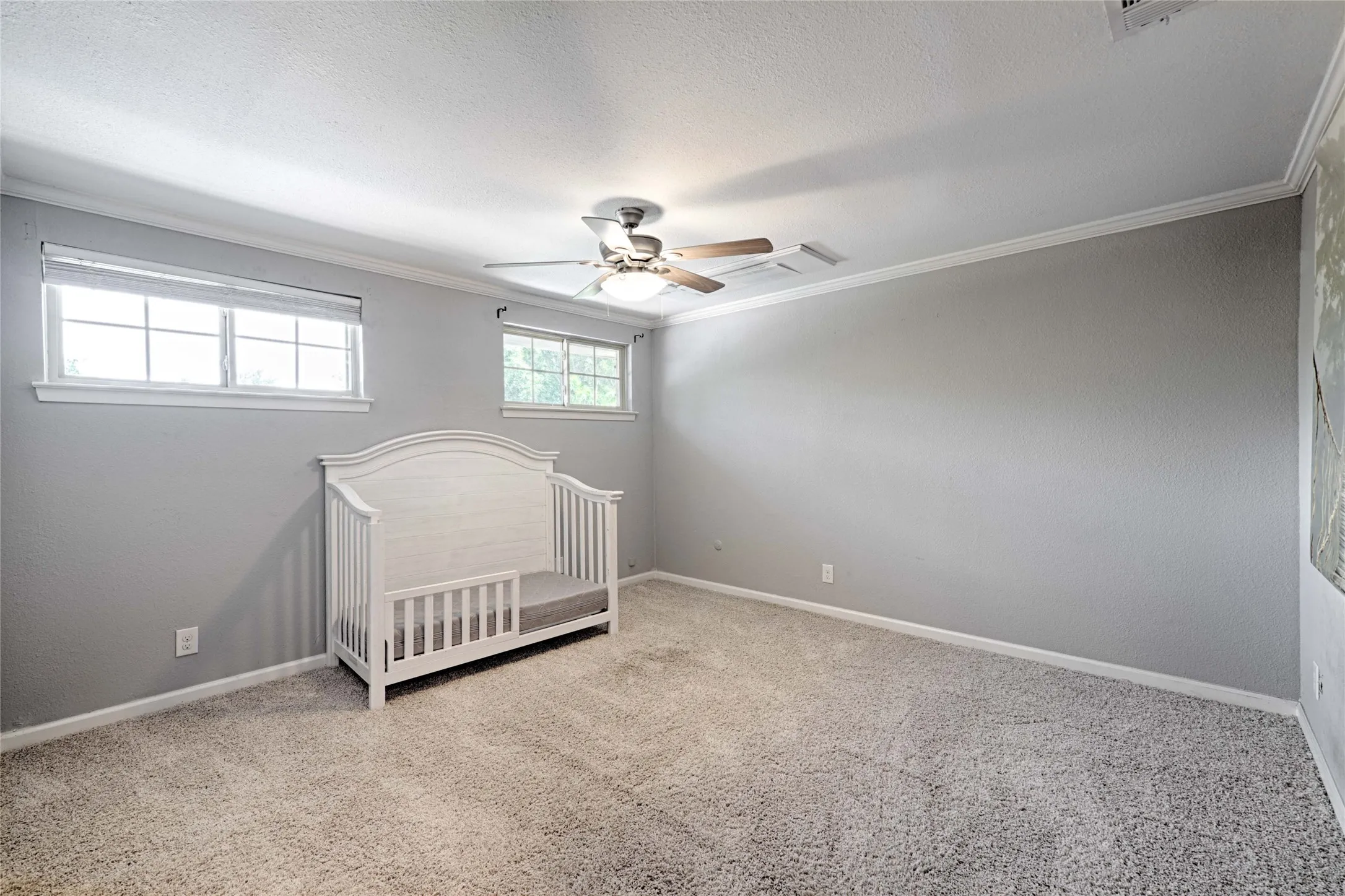 Spacious room featuring neutral carpeting, light gray walls, crown molding, two windows with white trim, and a ceiling fan with integrated lighting