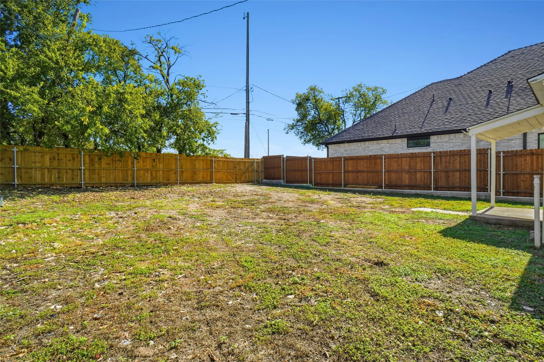Back Yard