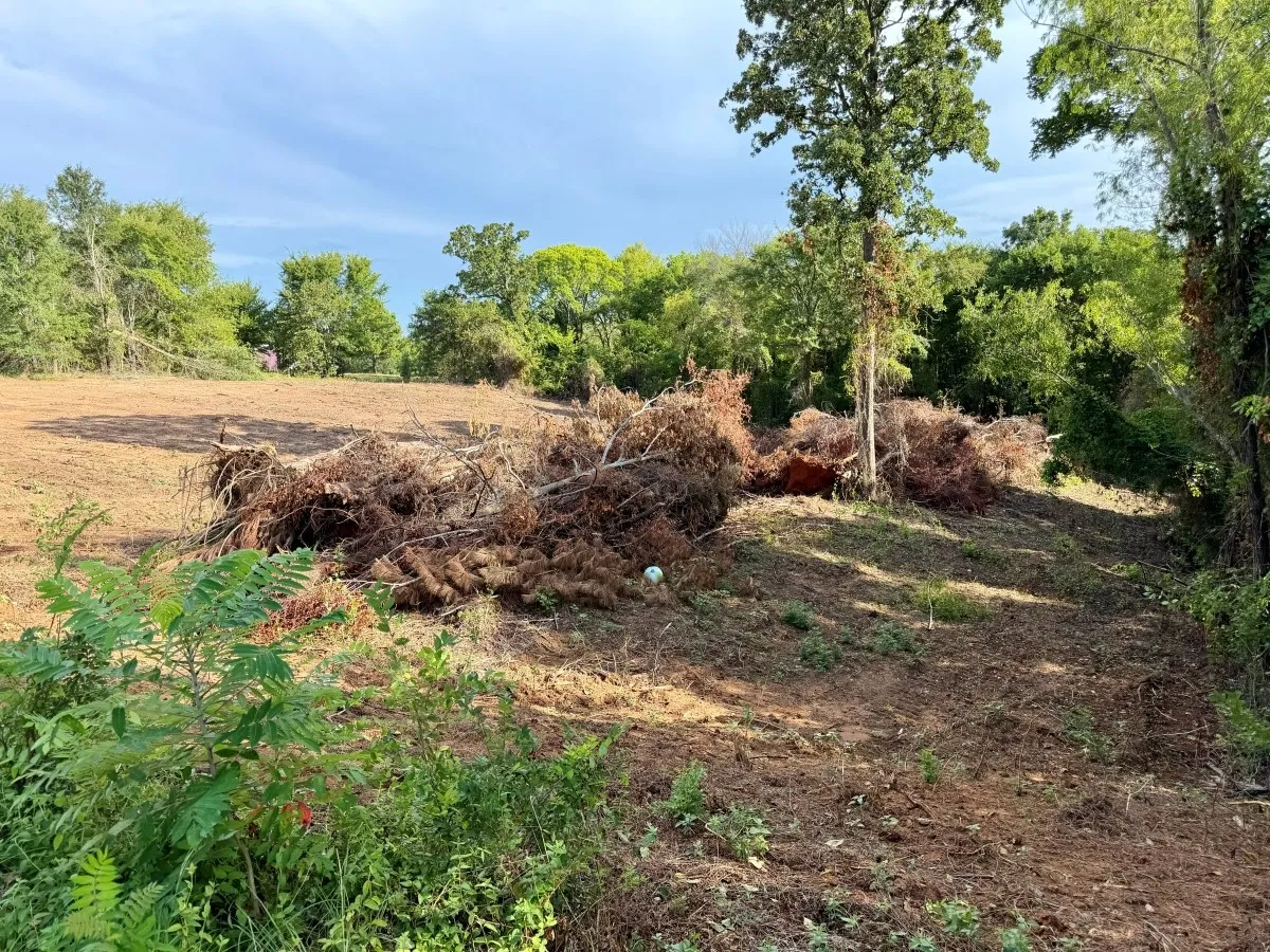 Unimproved Land For Sale in Smith County , 13358 Nance Lane, Lindale, Texas 75771, 0, 0, Garage spaces, 0 Sqft, built in 0, mls#21325427, Real Estate Agent in Lindale, Homes For Sale in Smith county, Homes For Sale in Lindale, Realtor in Lindale Texas, Real Estate Brokerage Independent Realty Texas, Luminita Cordes Realtor