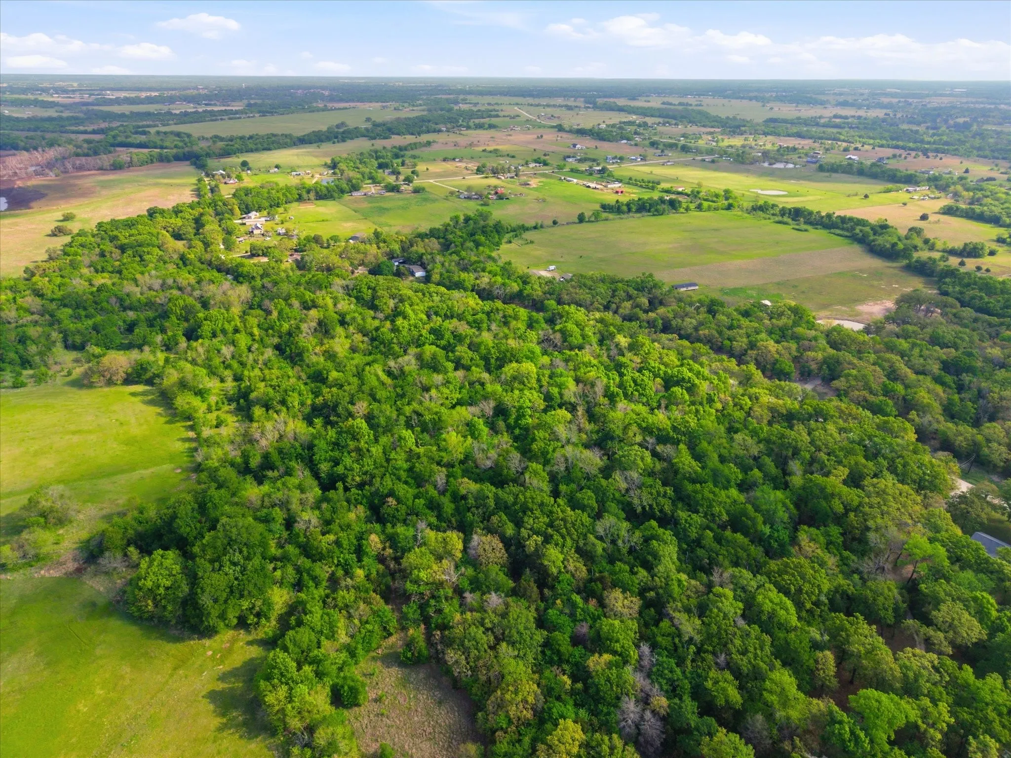 Unimproved Land For Sale in Van Zandt County , 637 VZ County Road 3437, Wills Point, Texas 75169, 0, 0, Garage spaces, 0 Sqft, built in 0, mls#21325448, Real Estate Agent in Wills Point, Homes For Sale in Van Zandt county, Homes For Sale in Wills Point, Realtor in Wills Point Texas, Real Estate Brokerage Independent Realty Texas, Luminita Cordes Realtor