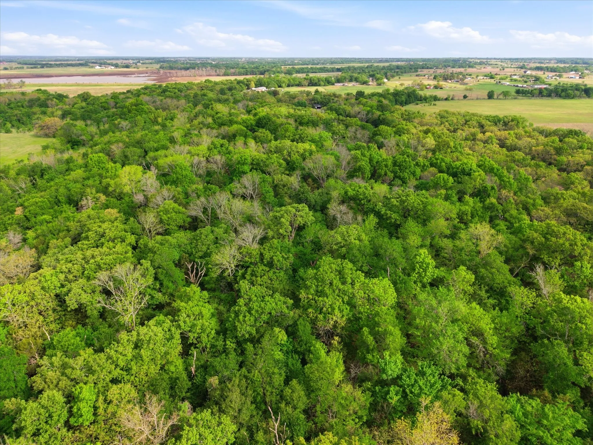 Unimproved Land For Sale in Van Zandt County , 637 VZ County Road 3437, Wills Point, Texas 75169, 0, 0, Garage spaces, 0 Sqft, built in 0, mls#21325448, Real Estate Agent in Wills Point, Homes For Sale in Van Zandt county, Homes For Sale in Wills Point, Realtor in Wills Point Texas, Real Estate Brokerage Independent Realty Texas, Luminita Cordes Realtor