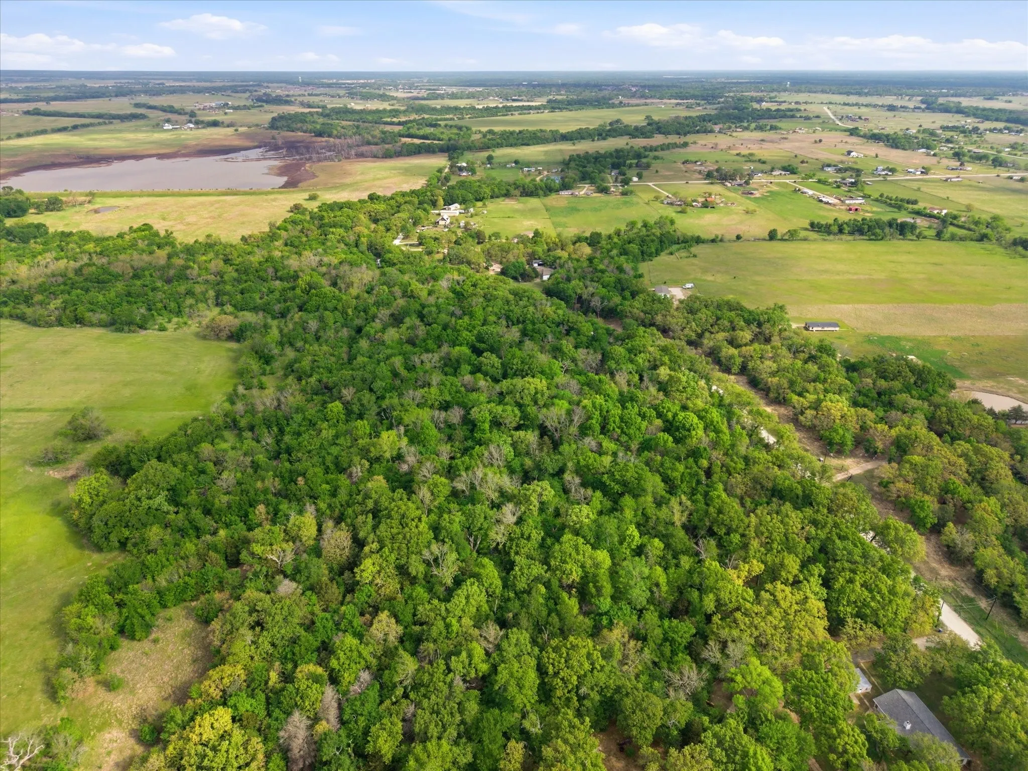 Unimproved Land For Sale in Van Zandt County , 637 VZ County Road 3437, Wills Point, Texas 75169, 0, 0, Garage spaces, 0 Sqft, built in 0, mls#21325448, Real Estate Agent in Wills Point, Homes For Sale in Van Zandt county, Homes For Sale in Wills Point, Realtor in Wills Point Texas, Real Estate Brokerage Independent Realty Texas, Luminita Cordes Realtor
