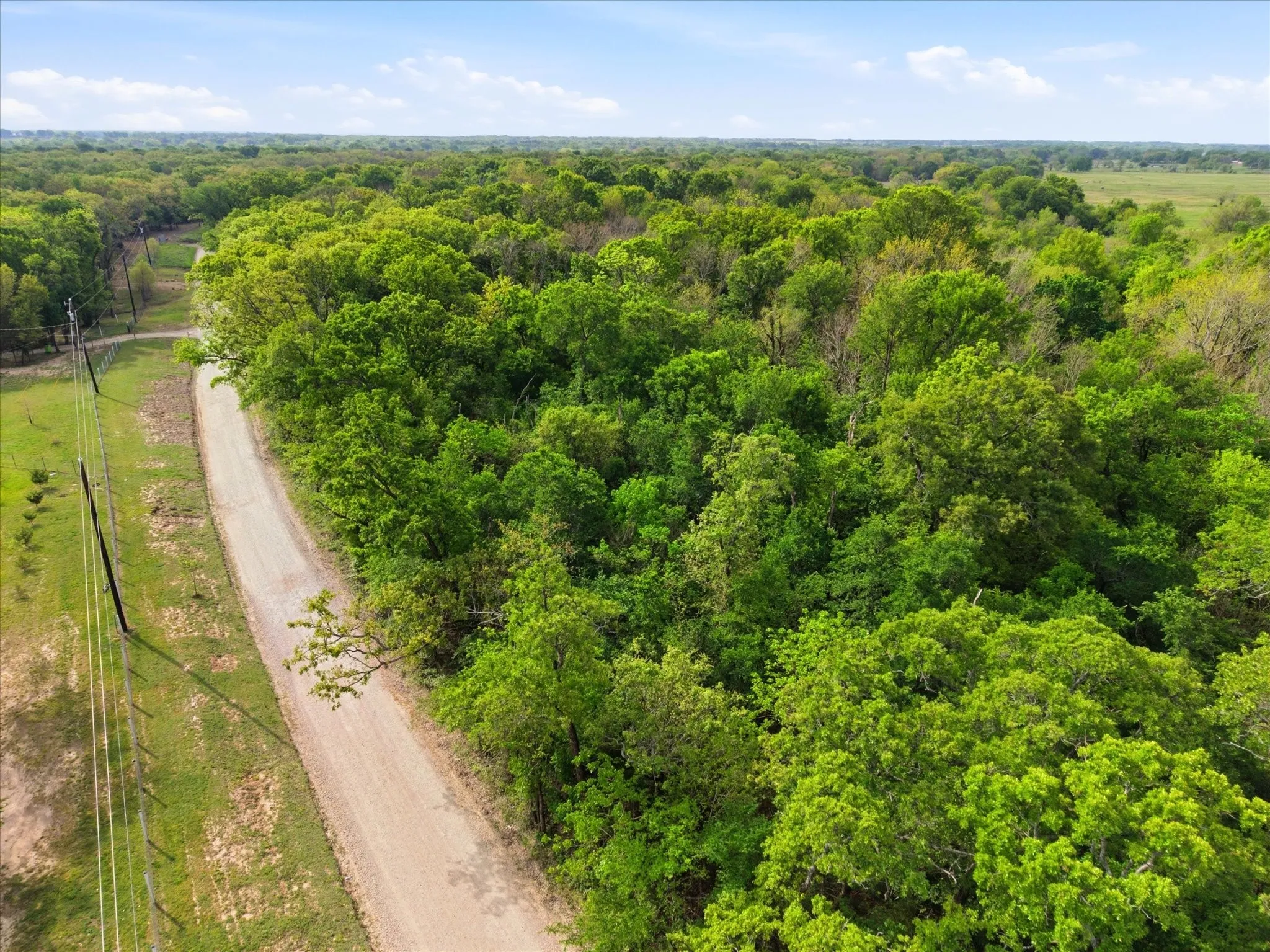 Unimproved Land For Sale in Van Zandt County , 637 VZ County Road 3437, Wills Point, Texas 75169, 0, 0, Garage spaces, 0 Sqft, built in 0, mls#21325448, Real Estate Agent in Wills Point, Homes For Sale in Van Zandt county, Homes For Sale in Wills Point, Realtor in Wills Point Texas, Real Estate Brokerage Independent Realty Texas, Luminita Cordes Realtor