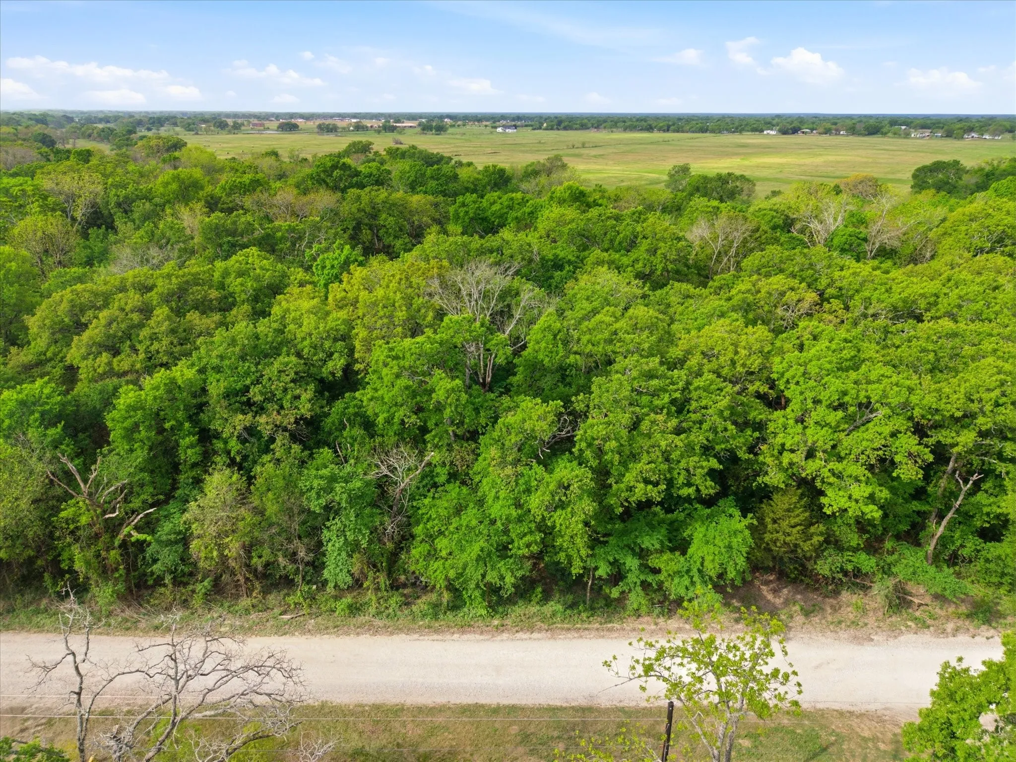 Unimproved Land For Sale in Van Zandt County , 637 VZ County Road 3437, Wills Point, Texas 75169, 0, 0, Garage spaces, 0 Sqft, built in 0, mls#21325448, Real Estate Agent in Wills Point, Homes For Sale in Van Zandt county, Homes For Sale in Wills Point, Realtor in Wills Point Texas, Real Estate Brokerage Independent Realty Texas, Luminita Cordes Realtor