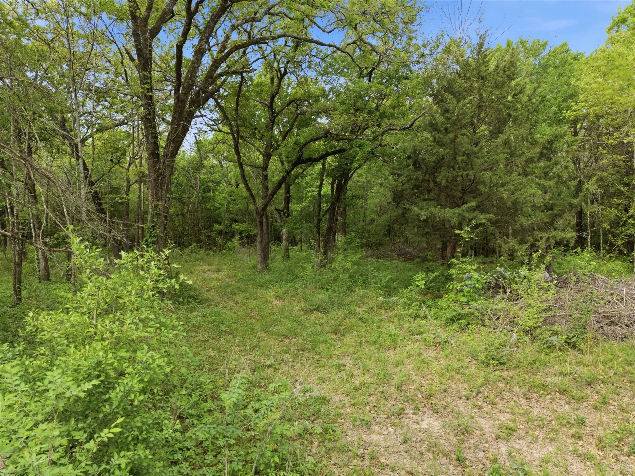 Unimproved Land For Sale in Van Zandt County , 637 VZ County Road 3437, Wills Point, Texas 75169, 0, 0, Garage spaces, 0 Sqft, built in 0, mls#21325448, Real Estate Agent in Wills Point, Homes For Sale in Van Zandt county, Homes For Sale in Wills Point, Realtor in Wills Point Texas, Real Estate Brokerage Independent Realty Texas, Luminita Cordes Realtor