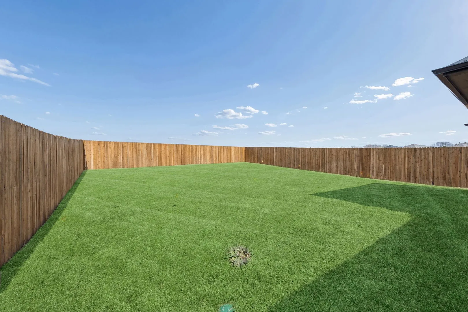 Covered Patio in the Oak II home plan by Trophy Signature Homes – REPRESENTATIVE PHOTO
