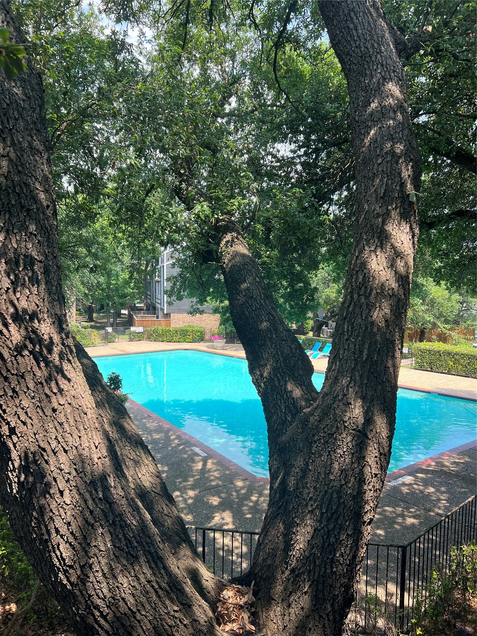 Condominium For Rent in Dallas County , 5840 Spring Valley Road 902, Dallas, Texas 75254, 2 Bedroom, 2 Bathroom, Garage spaces, 1,116 Sqft, built in 1981, mls#21325494, Real Estate Agent in Dallas, Homes For Rent in Dallas county, Homes For Rent in Dallas, Realtor in Dallas Texas, Real Estate Brokerage Independent Realty Texas, Luminita Cordes Realtor