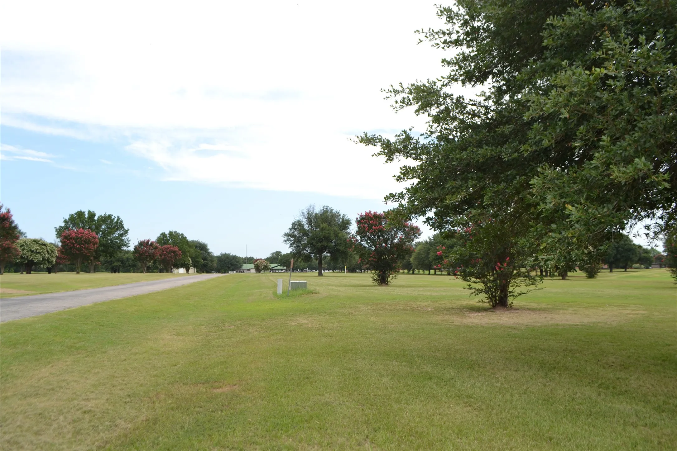 Unimproved Land For Sale in Wood County , Lot PT31, 32 Private Road 5940, Emory, Texas 75440, 0, 0, Garage spaces, 0 Sqft, built in 0, mls#21325611, Real Estate Agent in Emory, Homes For Sale in Wood county, Homes For Sale in Emory, Realtor in Emory Texas, Real Estate Brokerage Independent Realty Texas, Luminita Cordes Realtor