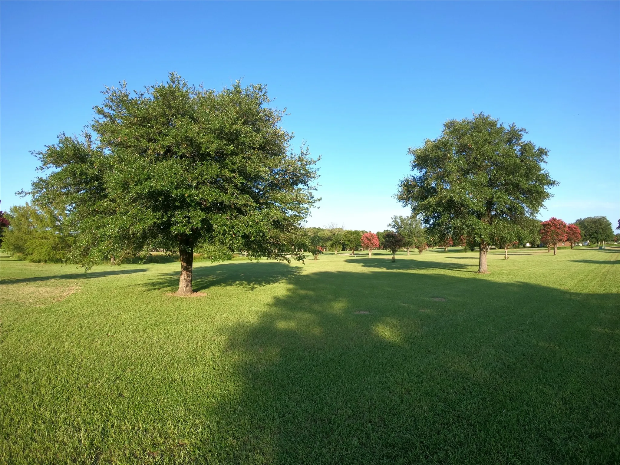 Unimproved Land For Sale in Wood County , Lot PT31, 32 Private Road 5940, Emory, Texas 75440, 0, 0, Garage spaces, 0 Sqft, built in 0, mls#21325611, Real Estate Agent in Emory, Homes For Sale in Wood county, Homes For Sale in Emory, Realtor in Emory Texas, Real Estate Brokerage Independent Realty Texas, Luminita Cordes Realtor