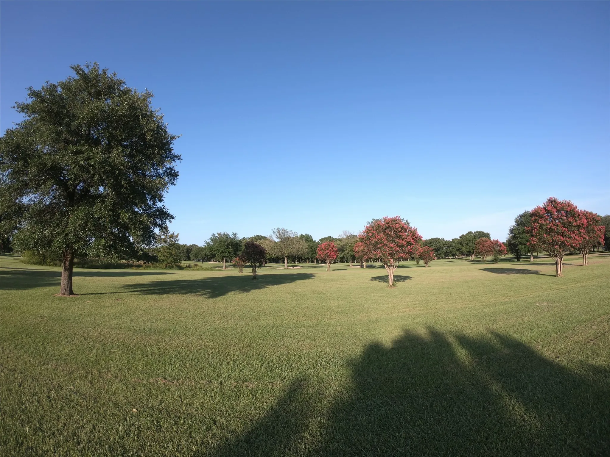 Unimproved Land For Sale in Wood County , Lot PT31, 32 Private Road 5940, Emory, Texas 75440, 0, 0, Garage spaces, 0 Sqft, built in 0, mls#21325611, Real Estate Agent in Emory, Homes For Sale in Wood county, Homes For Sale in Emory, Realtor in Emory Texas, Real Estate Brokerage Independent Realty Texas, Luminita Cordes Realtor