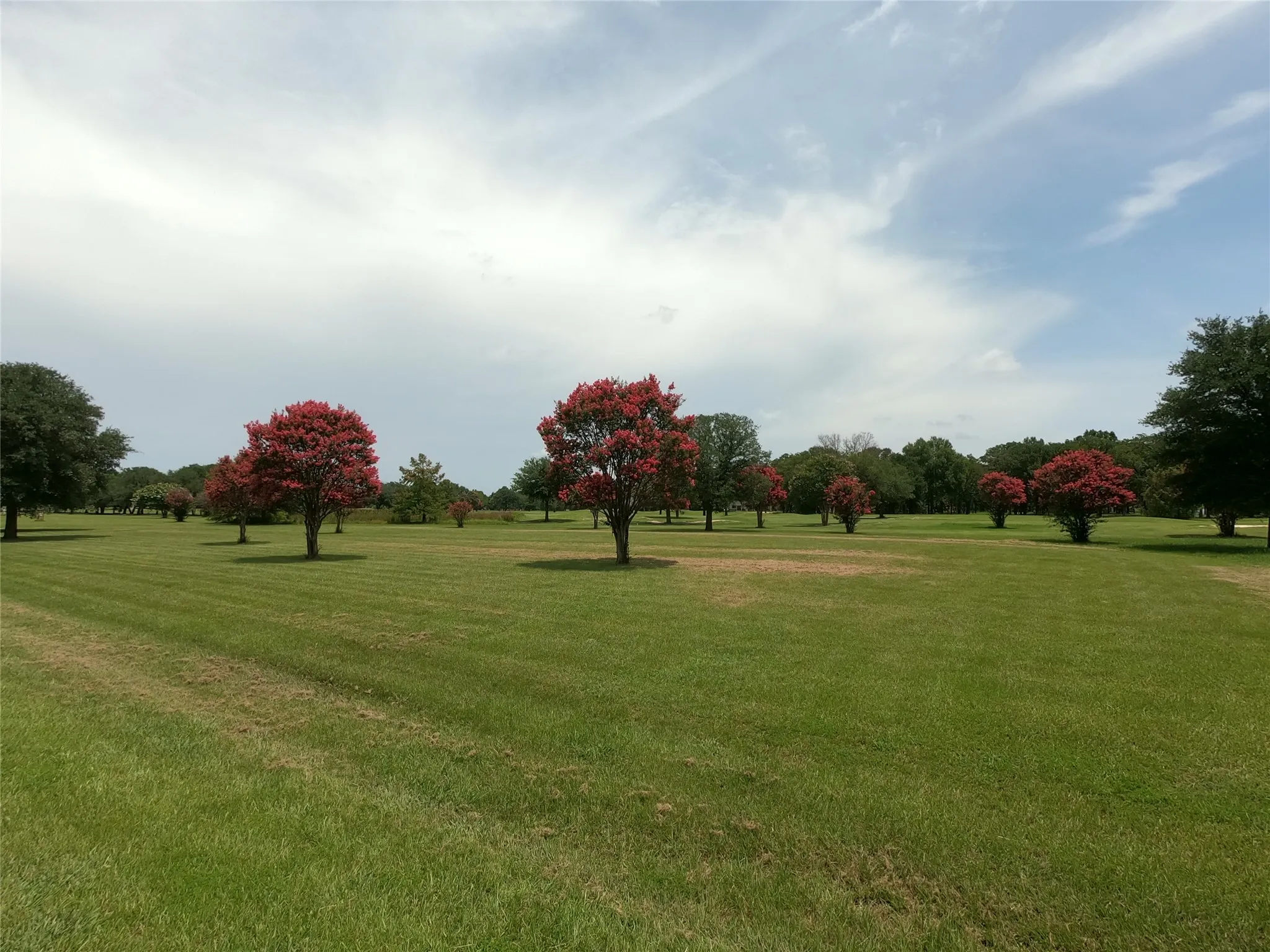 Unimproved Land For Sale in Wood County , Lot PT31, 32 Private Road 5940, Emory, Texas 75440, 0, 0, Garage spaces, 0 Sqft, built in 0, mls#21325611, Real Estate Agent in Emory, Homes For Sale in Wood county, Homes For Sale in Emory, Realtor in Emory Texas, Real Estate Brokerage Independent Realty Texas, Luminita Cordes Realtor