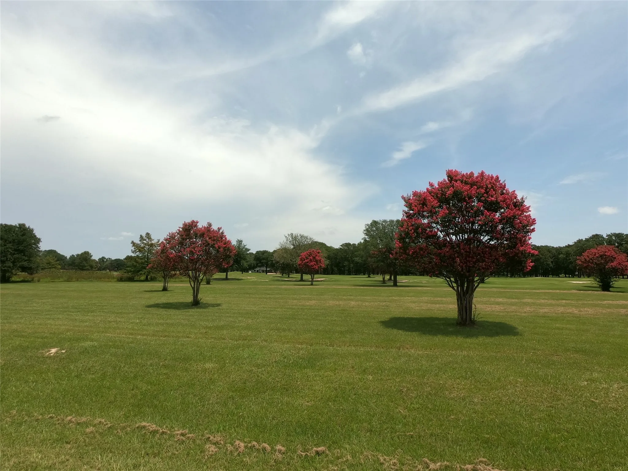 Unimproved Land For Sale in Wood County , Lot PT31, 32 Private Road 5940, Emory, Texas 75440, 0, 0, Garage spaces, 0 Sqft, built in 0, mls#21325611, Real Estate Agent in Emory, Homes For Sale in Wood county, Homes For Sale in Emory, Realtor in Emory Texas, Real Estate Brokerage Independent Realty Texas, Luminita Cordes Realtor