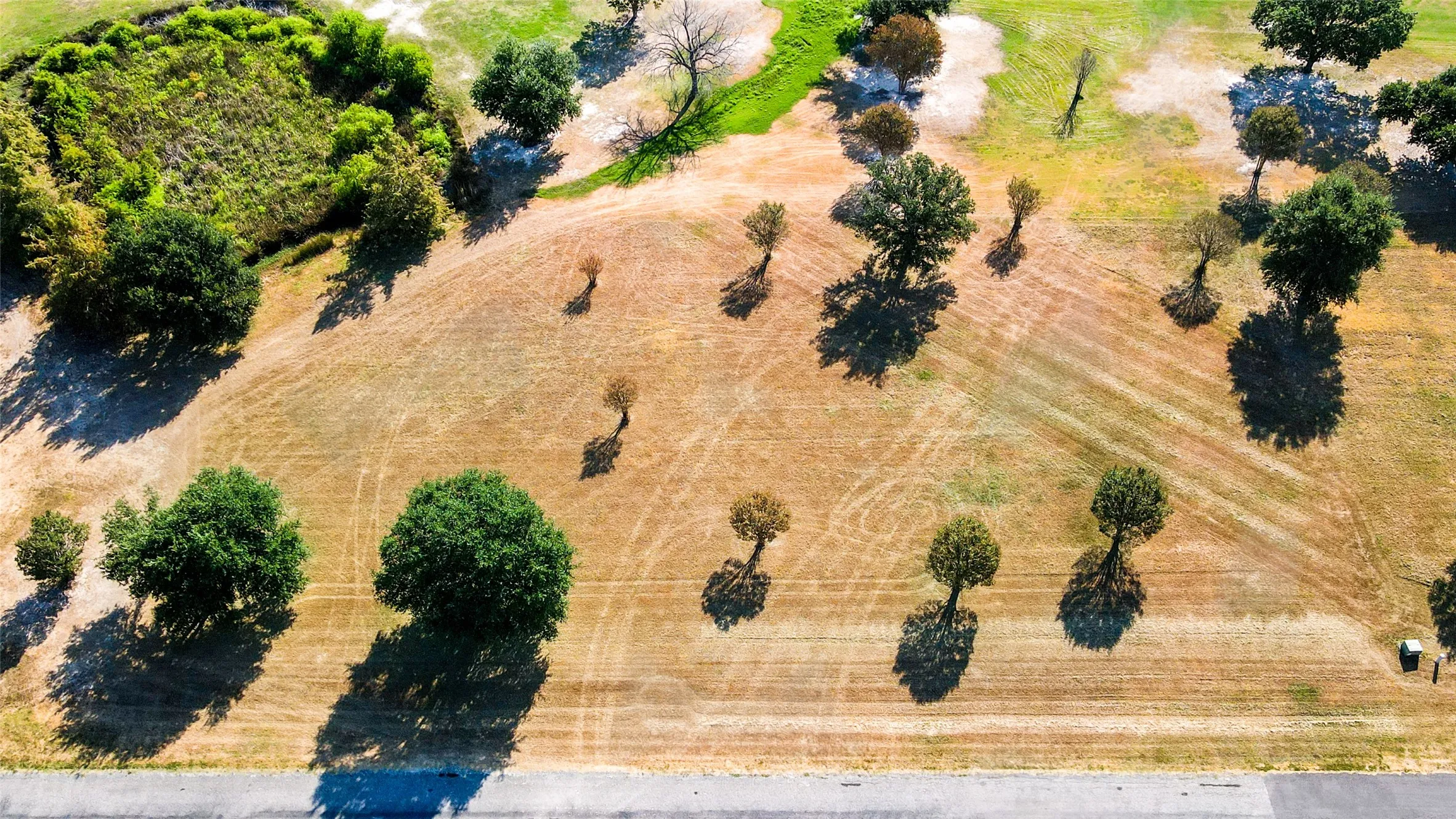 Unimproved Land For Sale in Wood County , Lot PT31, 32 Private Road 5940, Emory, Texas 75440, 0, 0, Garage spaces, 0 Sqft, built in 0, mls#21325611, Real Estate Agent in Emory, Homes For Sale in Wood county, Homes For Sale in Emory, Realtor in Emory Texas, Real Estate Brokerage Independent Realty Texas, Luminita Cordes Realtor