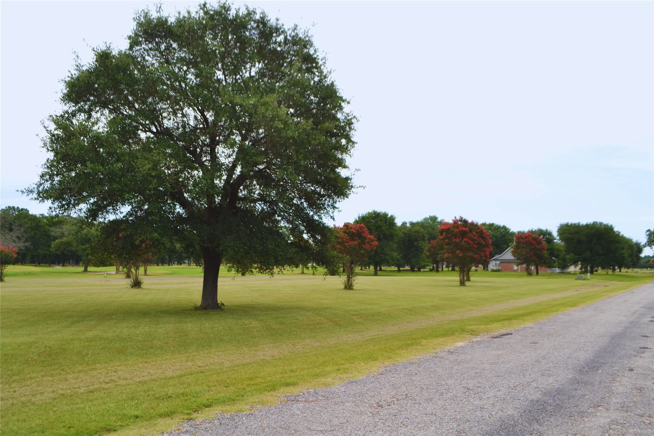 Unimproved Land For Sale in Wood County , Lot PT31, 32 Private Road 5940, Emory, Texas 75440, 0, 0, Garage spaces, 0 Sqft, built in 0, mls#21325611, Real Estate Agent in Emory, Homes For Sale in Wood county, Homes For Sale in Emory, Realtor in Emory Texas, Real Estate Brokerage Independent Realty Texas, Luminita Cordes Realtor