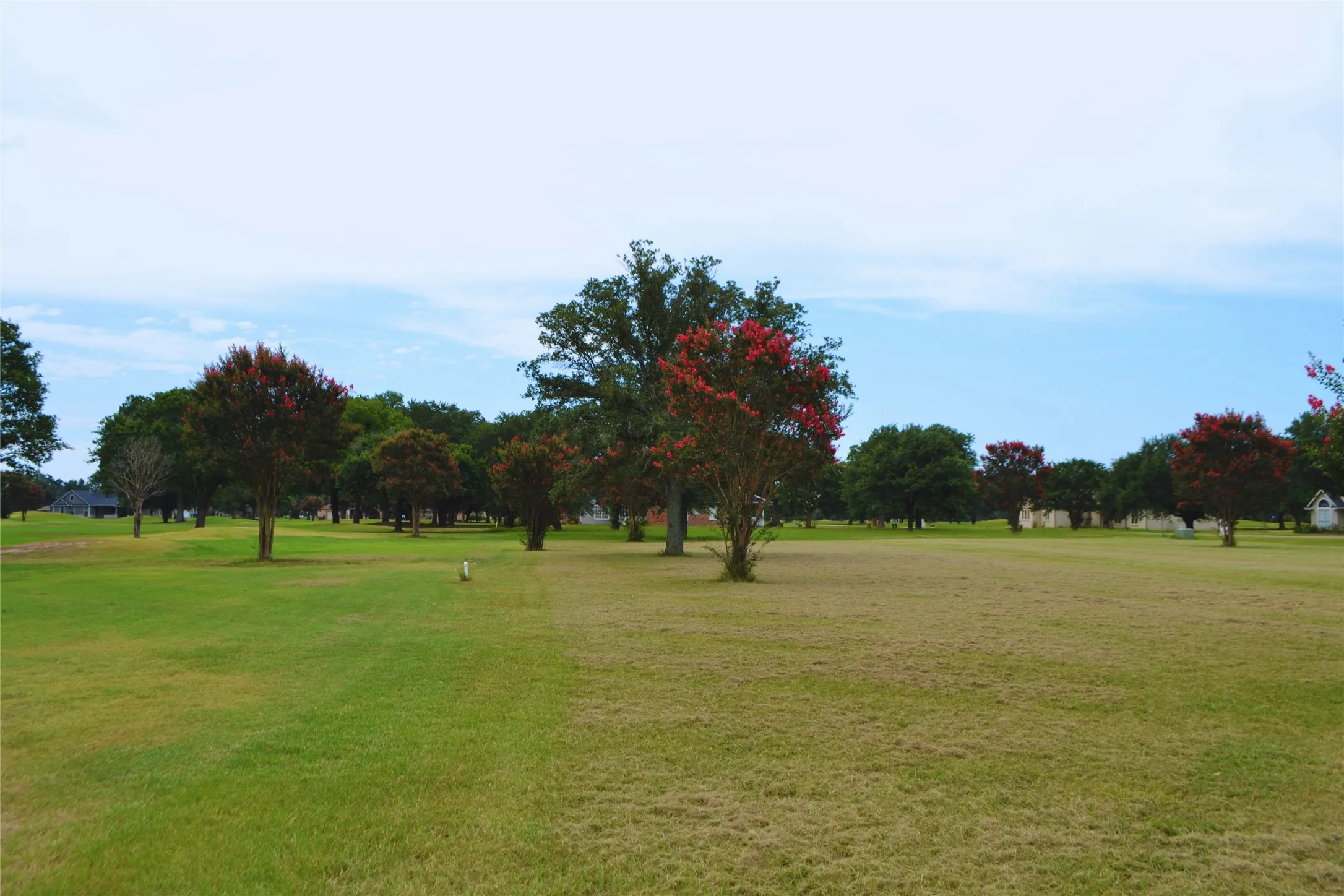 Unimproved Land For Sale in Wood County , Lot PT31, 32 Private Road 5940, Emory, Texas 75440, 0, 0, Garage spaces, 0 Sqft, built in 0, mls#21325611, Real Estate Agent in Emory, Homes For Sale in Wood county, Homes For Sale in Emory, Realtor in Emory Texas, Real Estate Brokerage Independent Realty Texas, Luminita Cordes Realtor