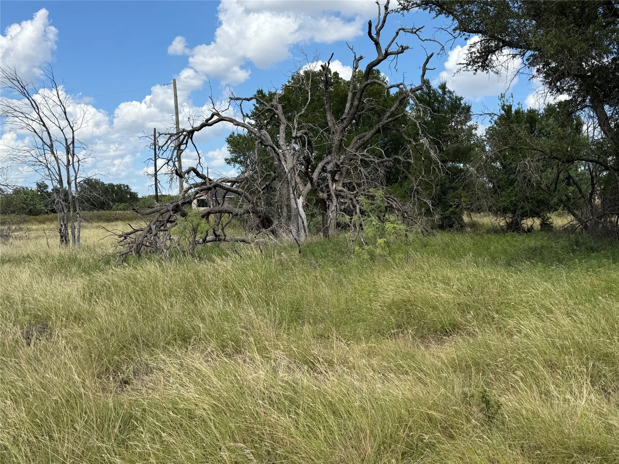 Unimproved Land For Sale in Brown County , 678 Batten Drive, Brownwood, Texas 76801, 0, 0, Garage spaces, 0 Sqft, built in 0, Price $25,000, mls#21325684, Real Estate Agent in Brownwood, Homes For Sale in Brown county, Homes For Sale in Brownwood, Realtor in Brownwood Texas, Real Estate Brokerage Independent Realty Texas, Luminita Cordes Realtor