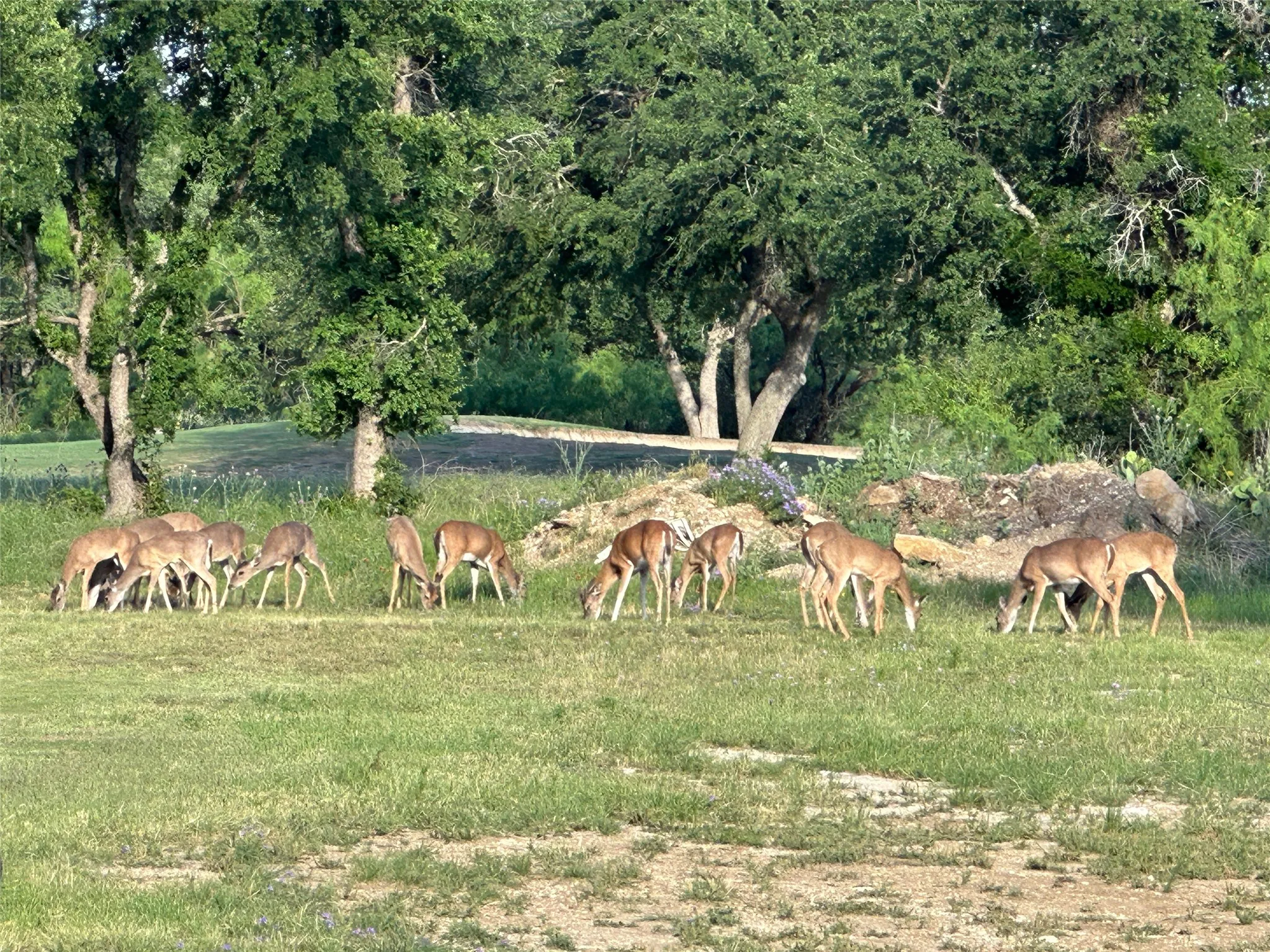 Unimproved Land For Sale in Brown County , 678 Batten Drive, Brownwood, Texas 76801, 0, 0, Garage spaces, 0 Sqft, built in 0, Price $25,000, mls#21325684, Real Estate Agent in Brownwood, Homes For Sale in Brown county, Homes For Sale in Brownwood, Realtor in Brownwood Texas, Real Estate Brokerage Independent Realty Texas, Luminita Cordes Realtor