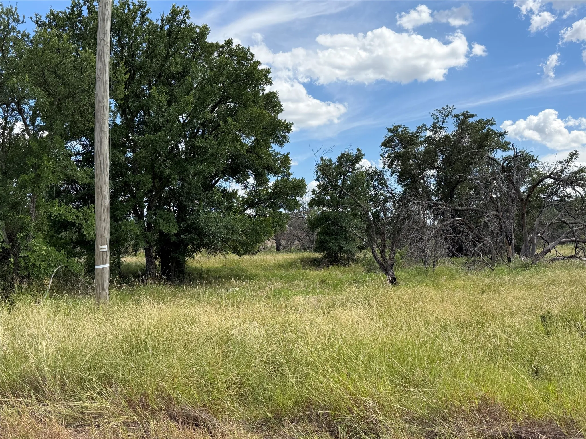 Expansive open land featuring diverse foliage and a clear sky with scattered clouds