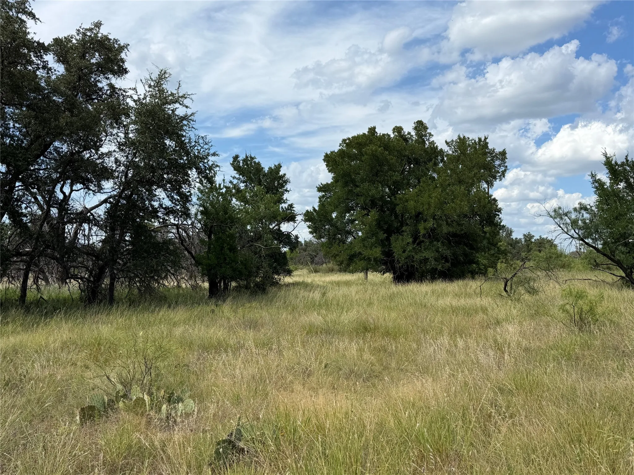 Unimproved Land For Sale in Brown County , 678 Batten Drive, Brownwood, Texas 76801, 0, 0, Garage spaces, 0 Sqft, built in 0, Price $25,000, mls#21325684, Real Estate Agent in Brownwood, Homes For Sale in Brown county, Homes For Sale in Brownwood, Realtor in Brownwood Texas, Real Estate Brokerage Independent Realty Texas, Luminita Cordes Realtor