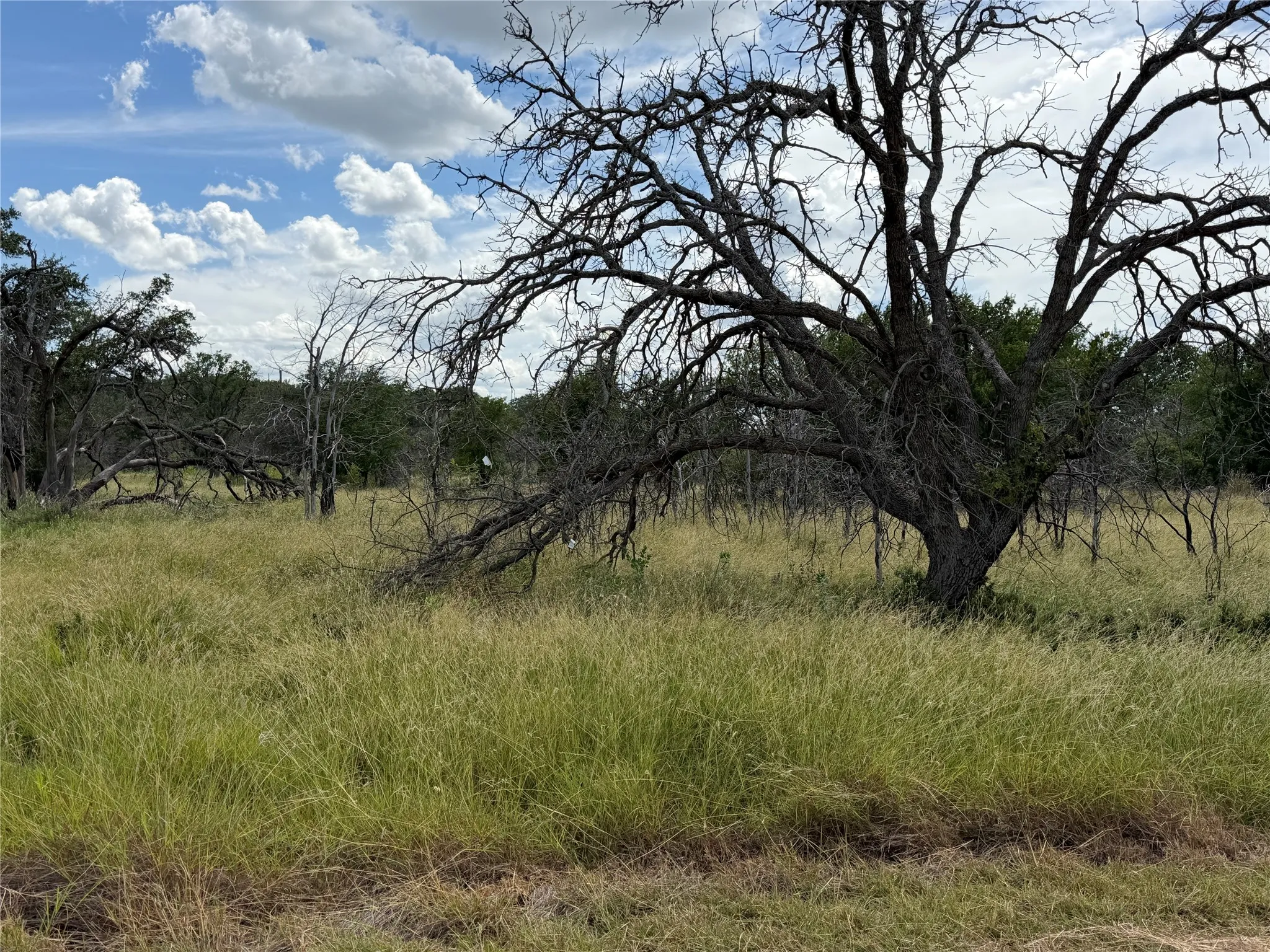 Expansive natural landscape featuring varied terrain and mature trees under a partially cloudy sky
