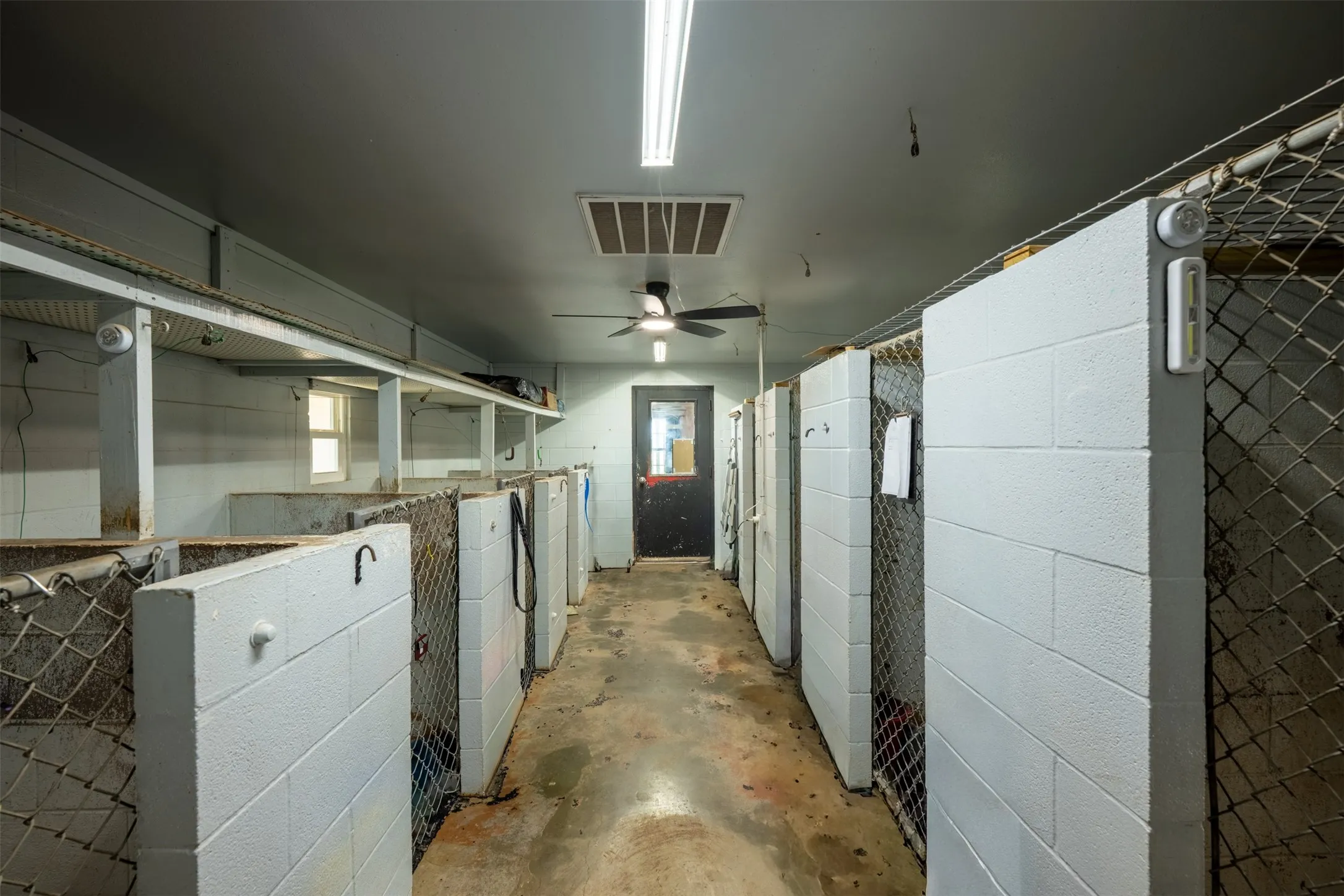 Indooor/Outdoor Kennels