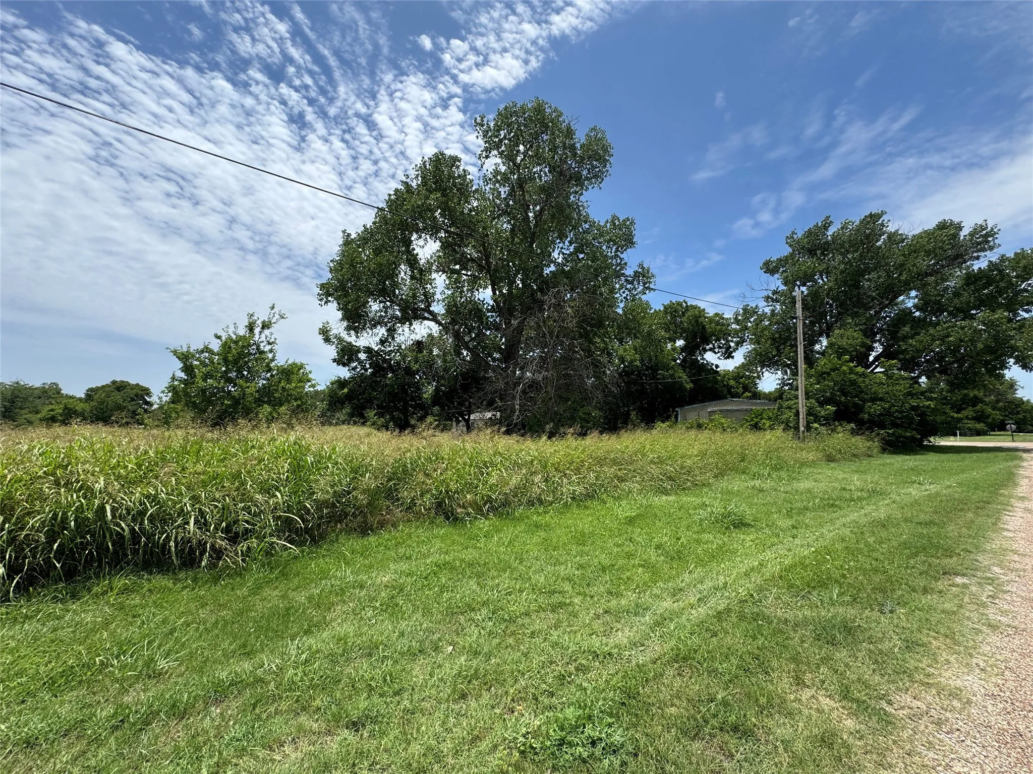Expansive lot featuring mature trees and a combination of manicured and natural vegetation