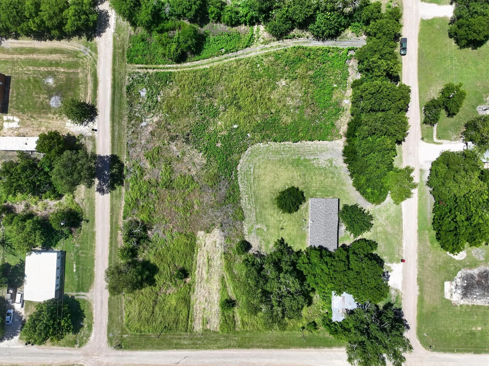Expansive undeveloped land parcel featuring natural ground cover and surrounding mature trees