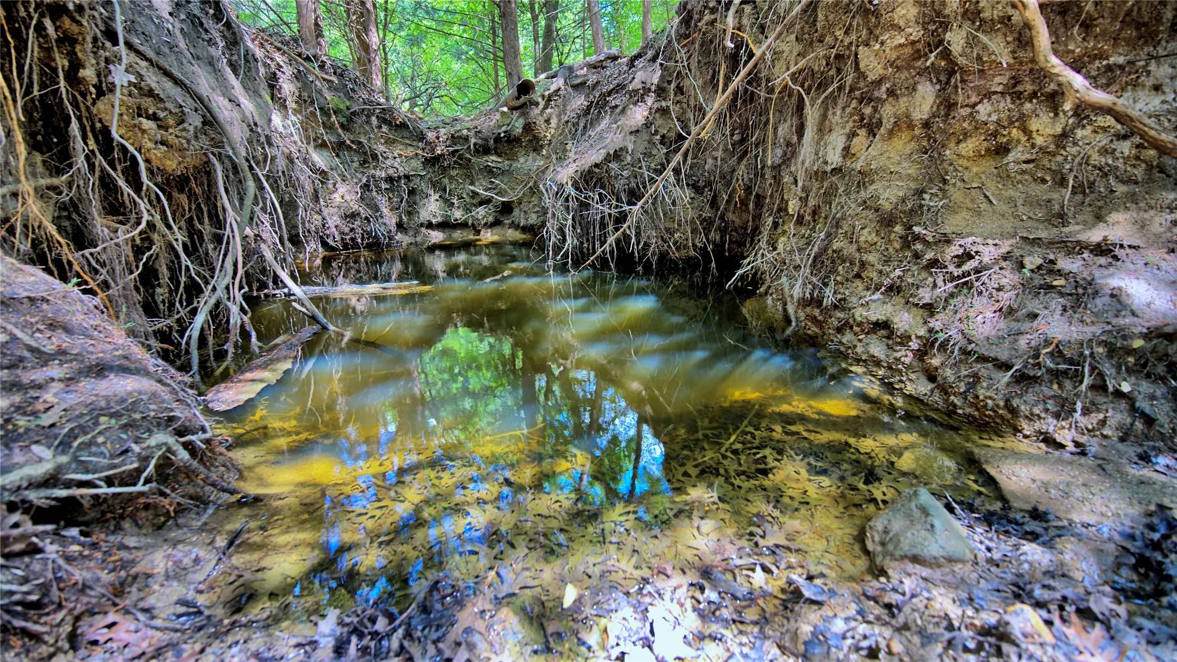 Unimproved Land For Sale in Montague County , 408 FM 922, Forestburg, Texas 76239, 0, 0, Garage spaces, 0 Sqft, built in 0, mls#21325745, Real Estate Agent in Forestburg, Homes For Sale in Montague county, Homes For Sale in Forestburg, Realtor in Forestburg Texas, Real Estate Brokerage Independent Realty Texas, Luminita Cordes Realtor