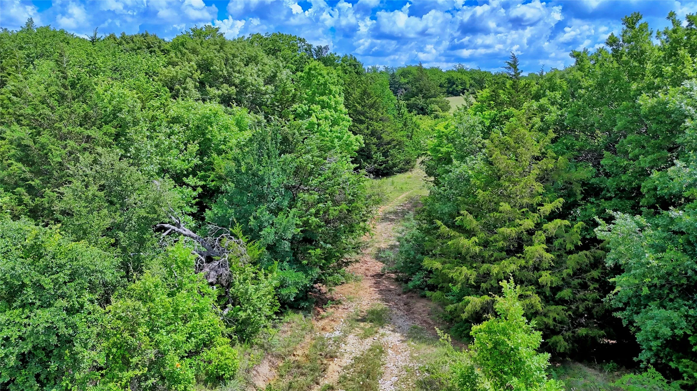 Unimproved Land For Sale in Montague County , 408 FM 922, Forestburg, Texas 76239, 0, 0, Garage spaces, 0 Sqft, built in 0, mls#21325745, Real Estate Agent in Forestburg, Homes For Sale in Montague county, Homes For Sale in Forestburg, Realtor in Forestburg Texas, Real Estate Brokerage Independent Realty Texas, Luminita Cordes Realtor