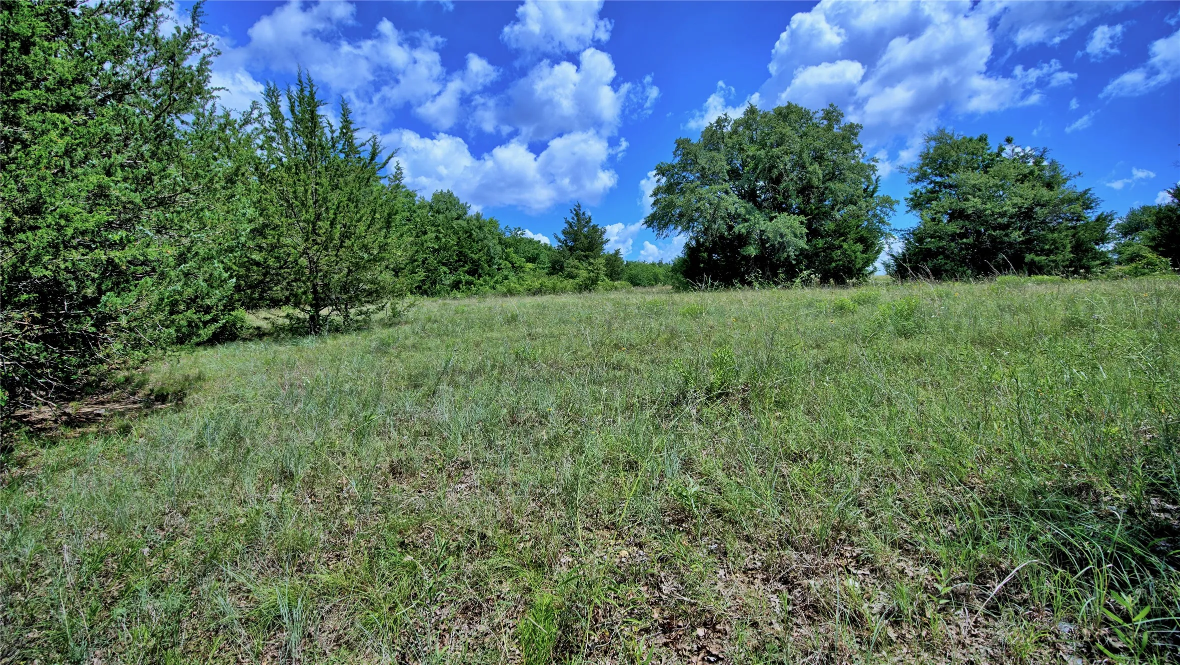 Unimproved Land For Sale in Montague County , 408 FM 922, Forestburg, Texas 76239, 0, 0, Garage spaces, 0 Sqft, built in 0, mls#21325745, Real Estate Agent in Forestburg, Homes For Sale in Montague county, Homes For Sale in Forestburg, Realtor in Forestburg Texas, Real Estate Brokerage Independent Realty Texas, Luminita Cordes Realtor
