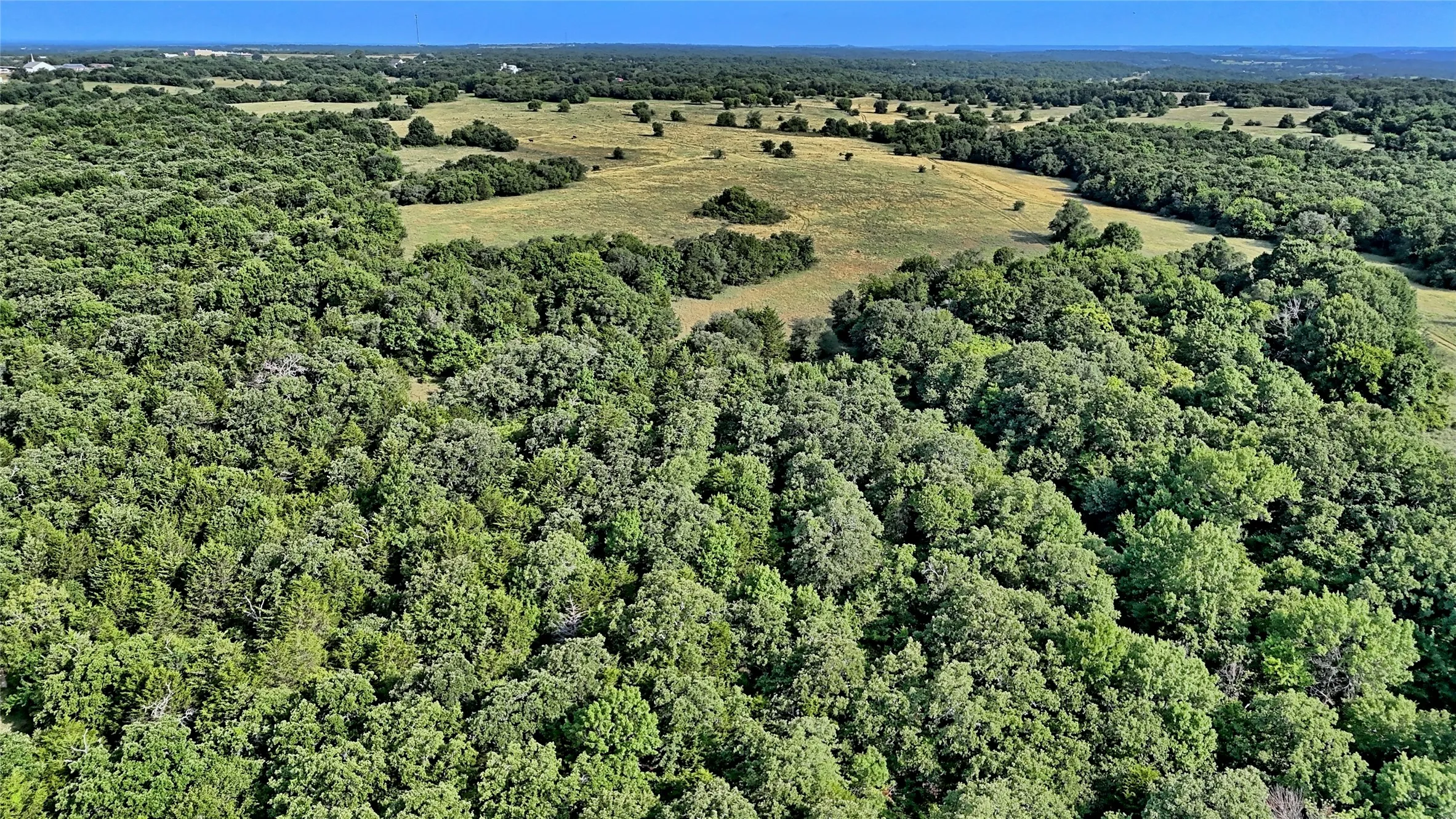 Unimproved Land For Sale in Montague County , 408 FM 922, Forestburg, Texas 76239, 0, 0, Garage spaces, 0 Sqft, built in 0, mls#21325745, Real Estate Agent in Forestburg, Homes For Sale in Montague county, Homes For Sale in Forestburg, Realtor in Forestburg Texas, Real Estate Brokerage Independent Realty Texas, Luminita Cordes Realtor