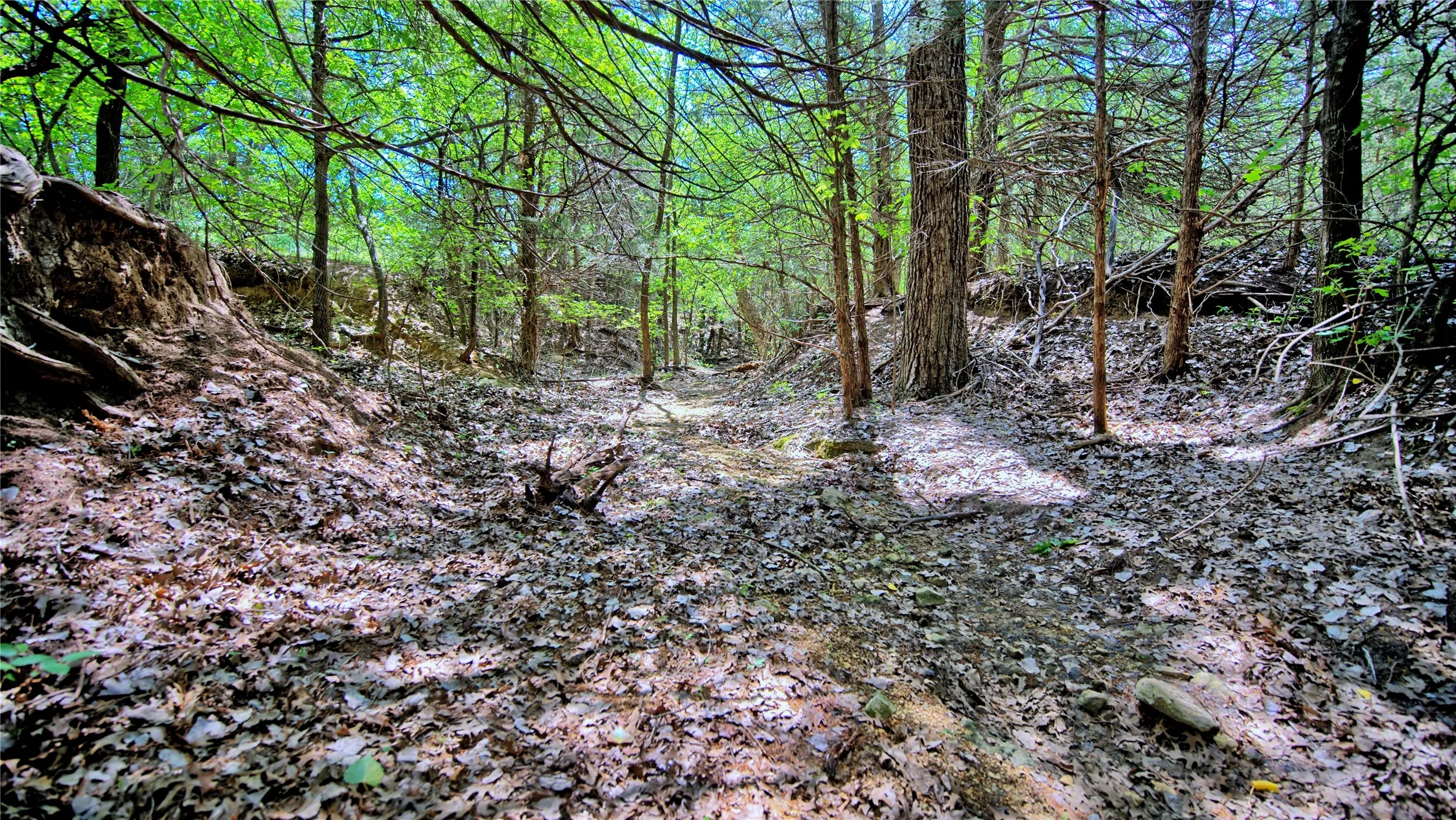 Unimproved Land For Sale in Montague County , 408 FM 922, Forestburg, Texas 76239, 0, 0, Garage spaces, 0 Sqft, built in 0, mls#21325745, Real Estate Agent in Forestburg, Homes For Sale in Montague county, Homes For Sale in Forestburg, Realtor in Forestburg Texas, Real Estate Brokerage Independent Realty Texas, Luminita Cordes Realtor
