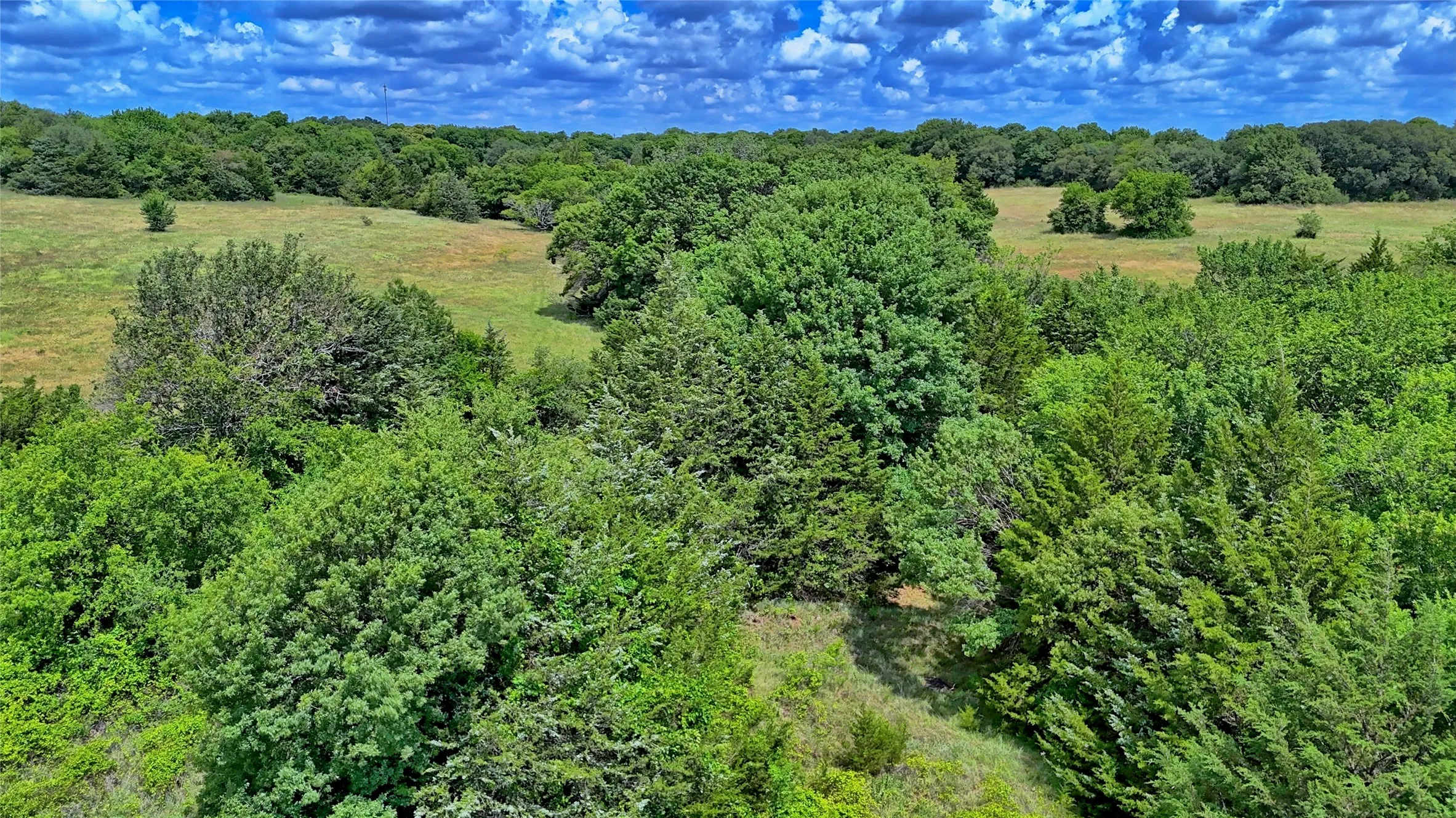 Unimproved Land For Sale in Montague County , 408 FM 922, Forestburg, Texas 76239, 0, 0, Garage spaces, 0 Sqft, built in 0, mls#21325745, Real Estate Agent in Forestburg, Homes For Sale in Montague county, Homes For Sale in Forestburg, Realtor in Forestburg Texas, Real Estate Brokerage Independent Realty Texas, Luminita Cordes Realtor