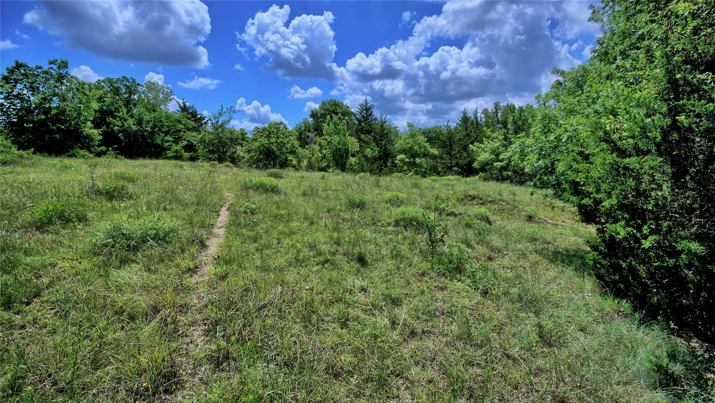 Unimproved Land For Sale in Montague County , 408 FM 922, Forestburg, Texas 76239, 0, 0, Garage spaces, 0 Sqft, built in 0, mls#21325745, Real Estate Agent in Forestburg, Homes For Sale in Montague county, Homes For Sale in Forestburg, Realtor in Forestburg Texas, Real Estate Brokerage Independent Realty Texas, Luminita Cordes Realtor